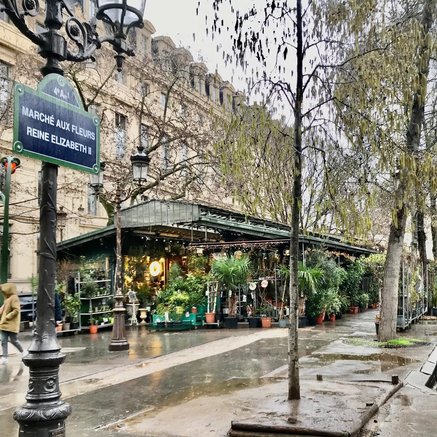 Paris-Marche-Reine-Elizabeth.jpg