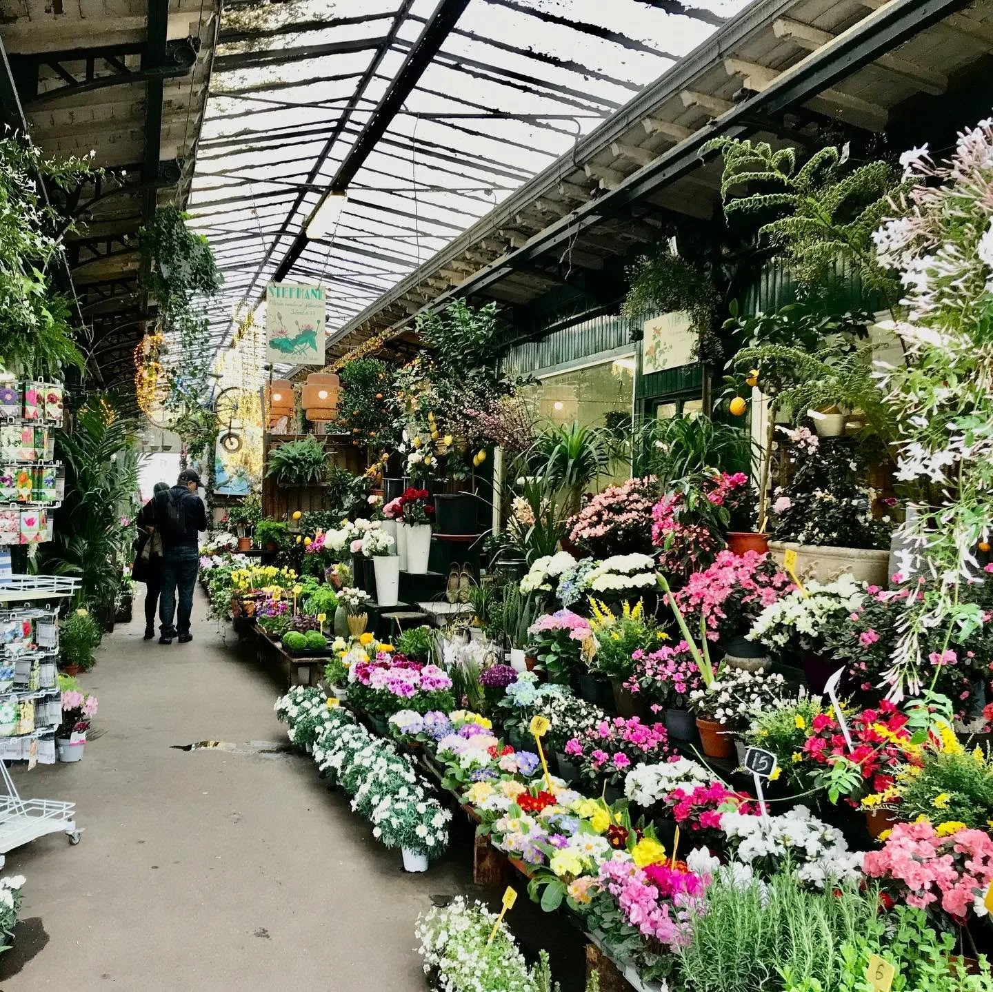 Paris-Queen-Elizabeth-Flower-Market.jpg