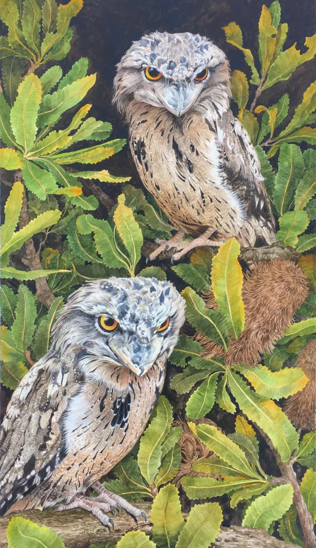 Jane Stapleford | Midnight In The Banksia Trees | Sold