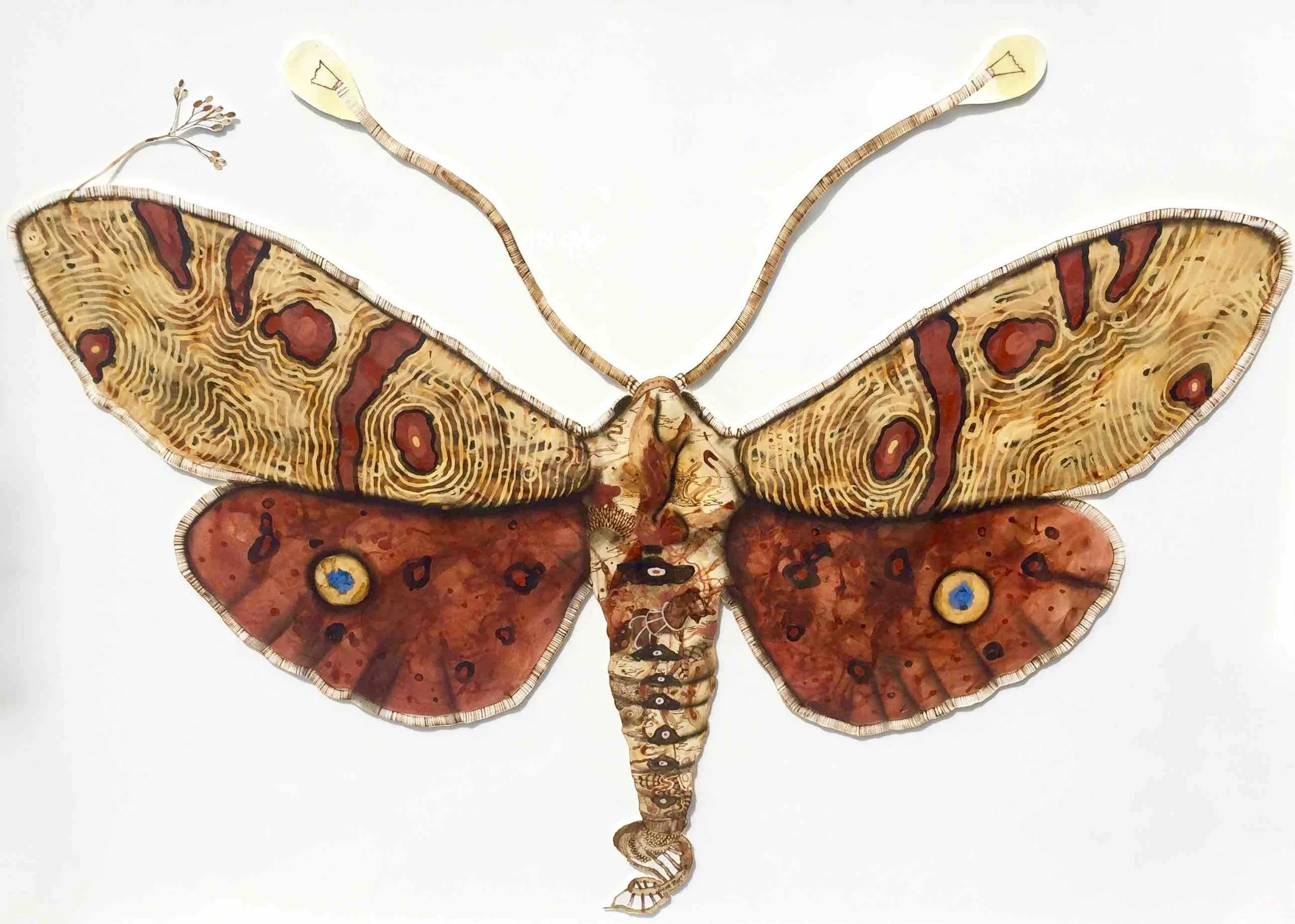  Scott Marr | Moth | SOLD