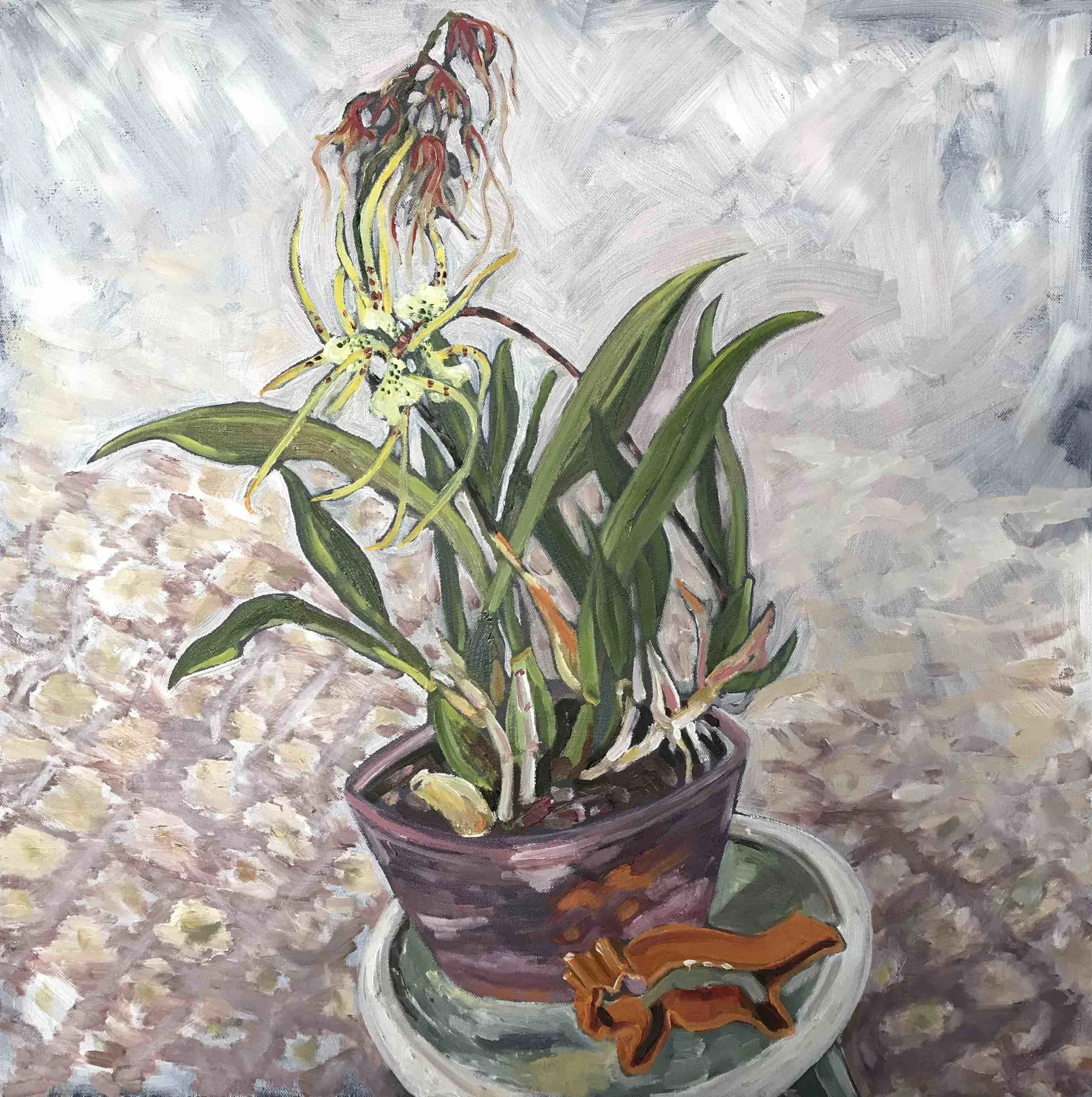 Rachel Hannan | Orchid From Mum