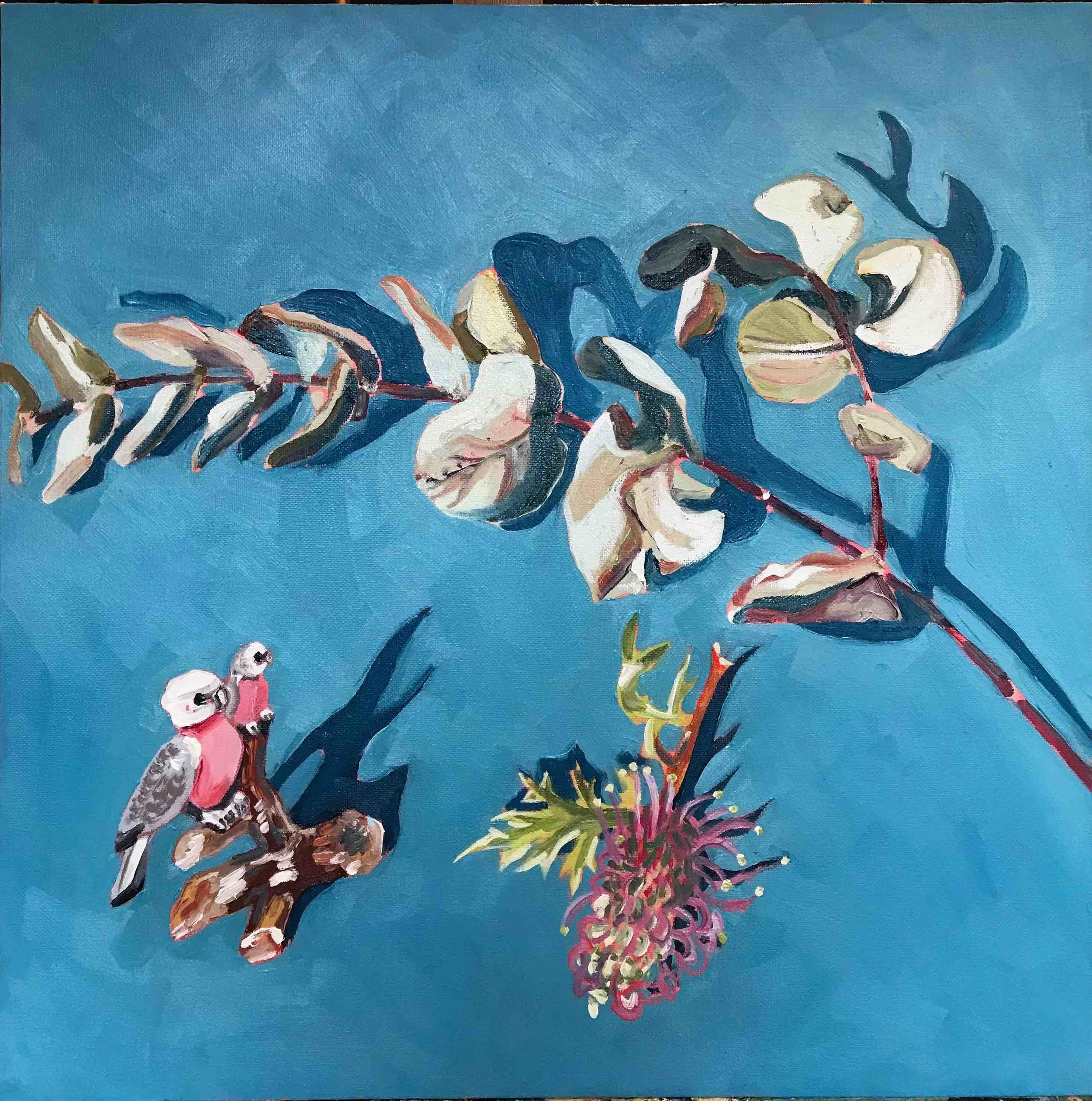 Rachel Hannan | You Bloody Galah