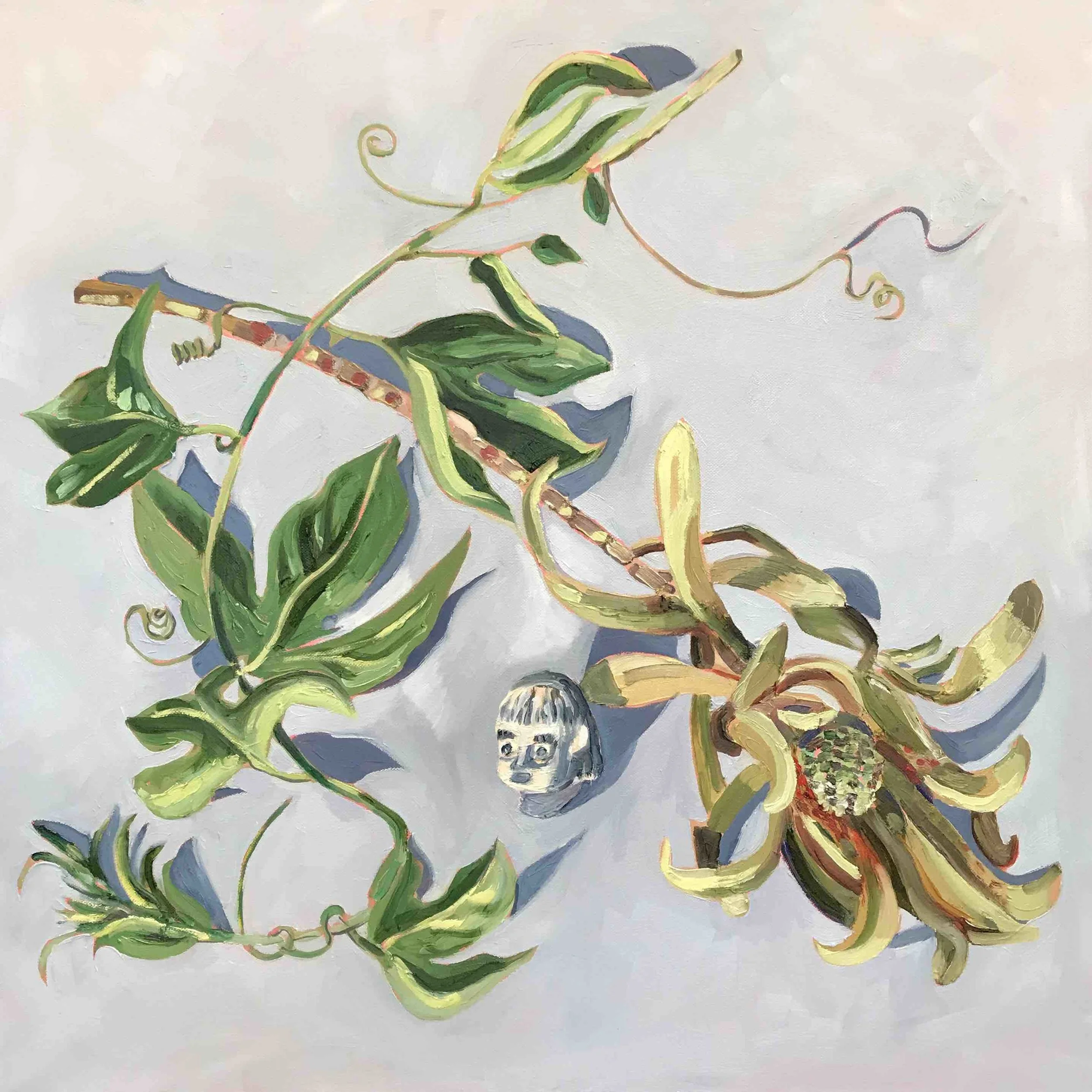 Rachel Hannan | Passion Vine and Dried Protea