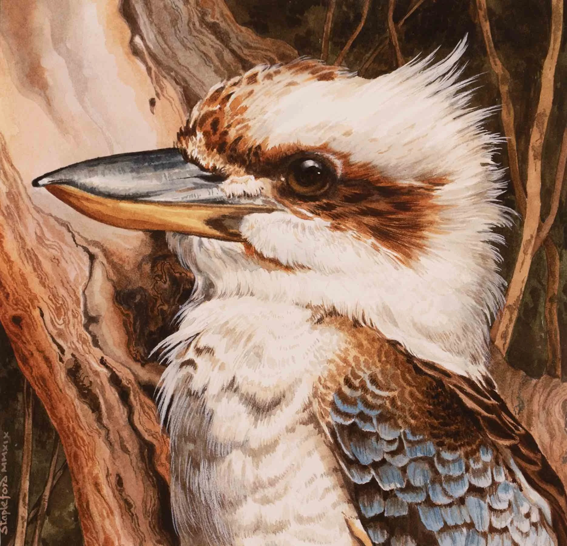 Jane Stapleford | Blue-Winged Kookaburra | SOLD