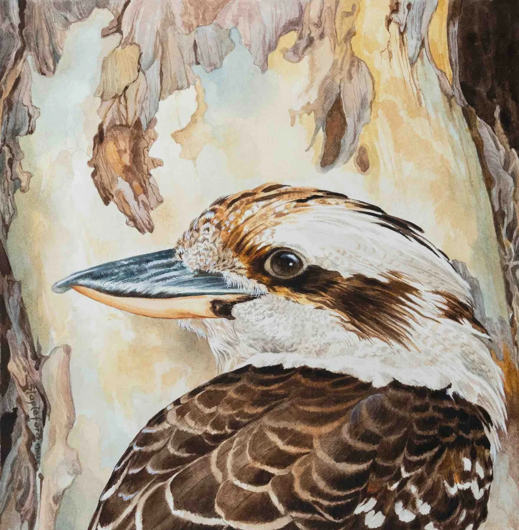 Jane Stapleford | Kookaburra, White Gum | SOLD