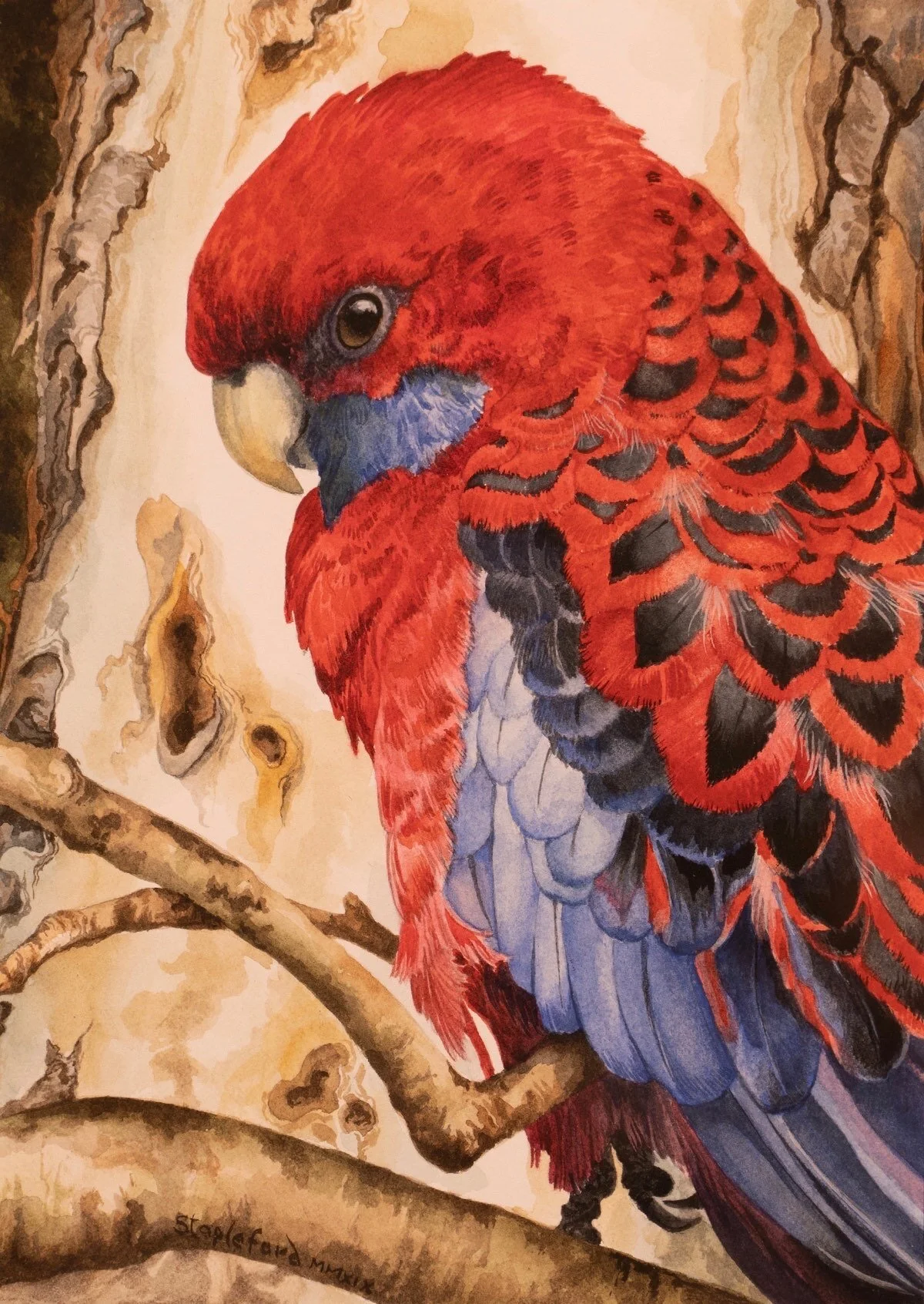 Jane Stapleford | Rosella | SOLD