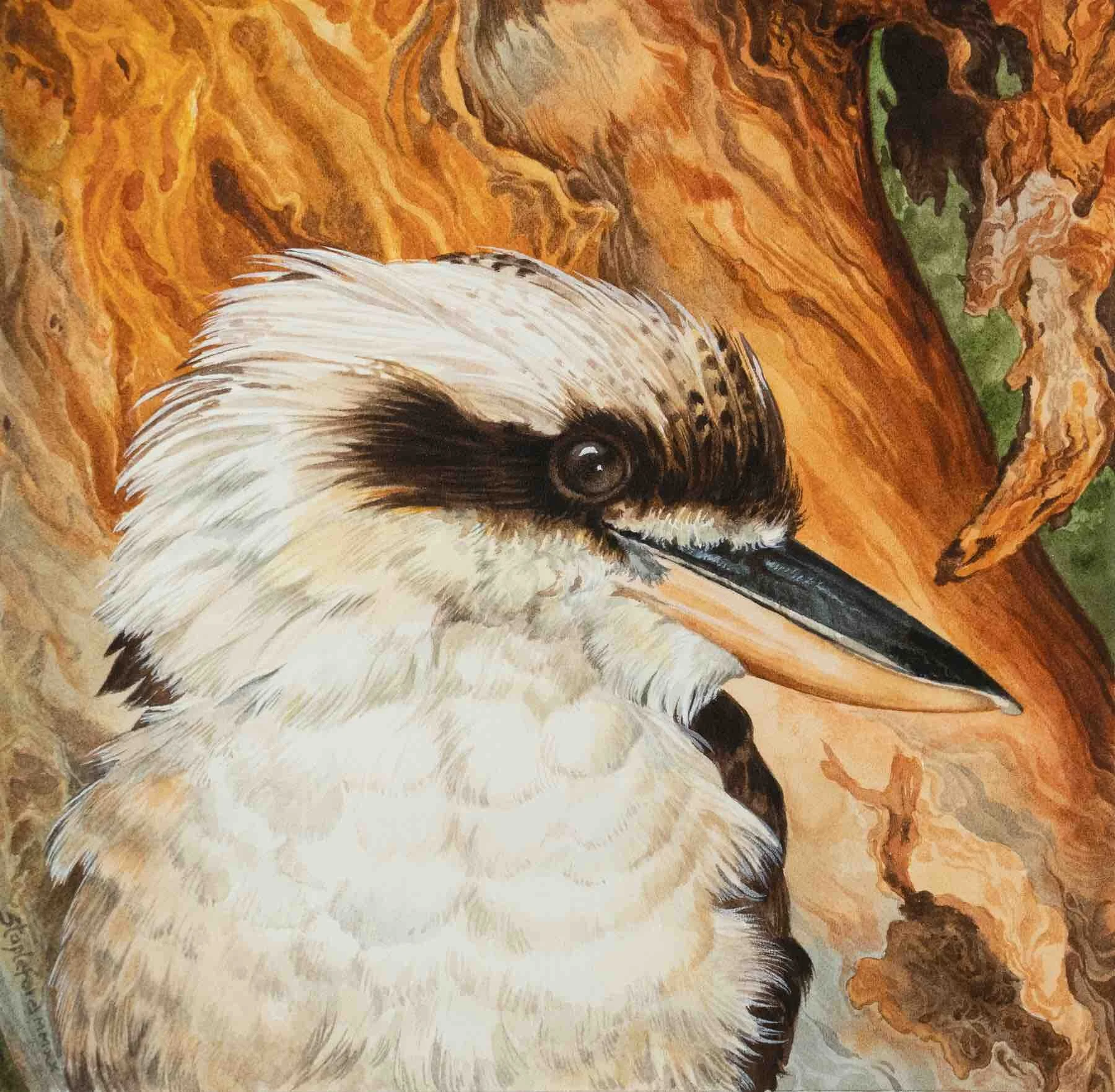 Jane Stapleford | Kookaburra II, Red Gum | SOLD