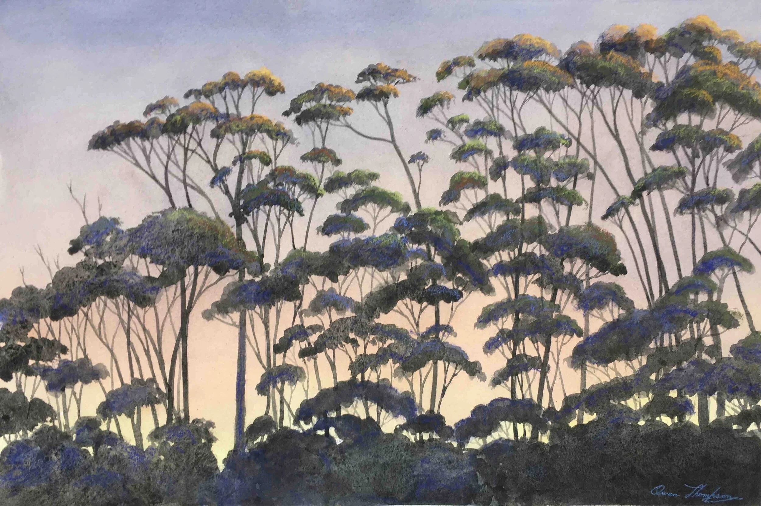 Owen Thompson | Eucalyptus Evening | SOLD