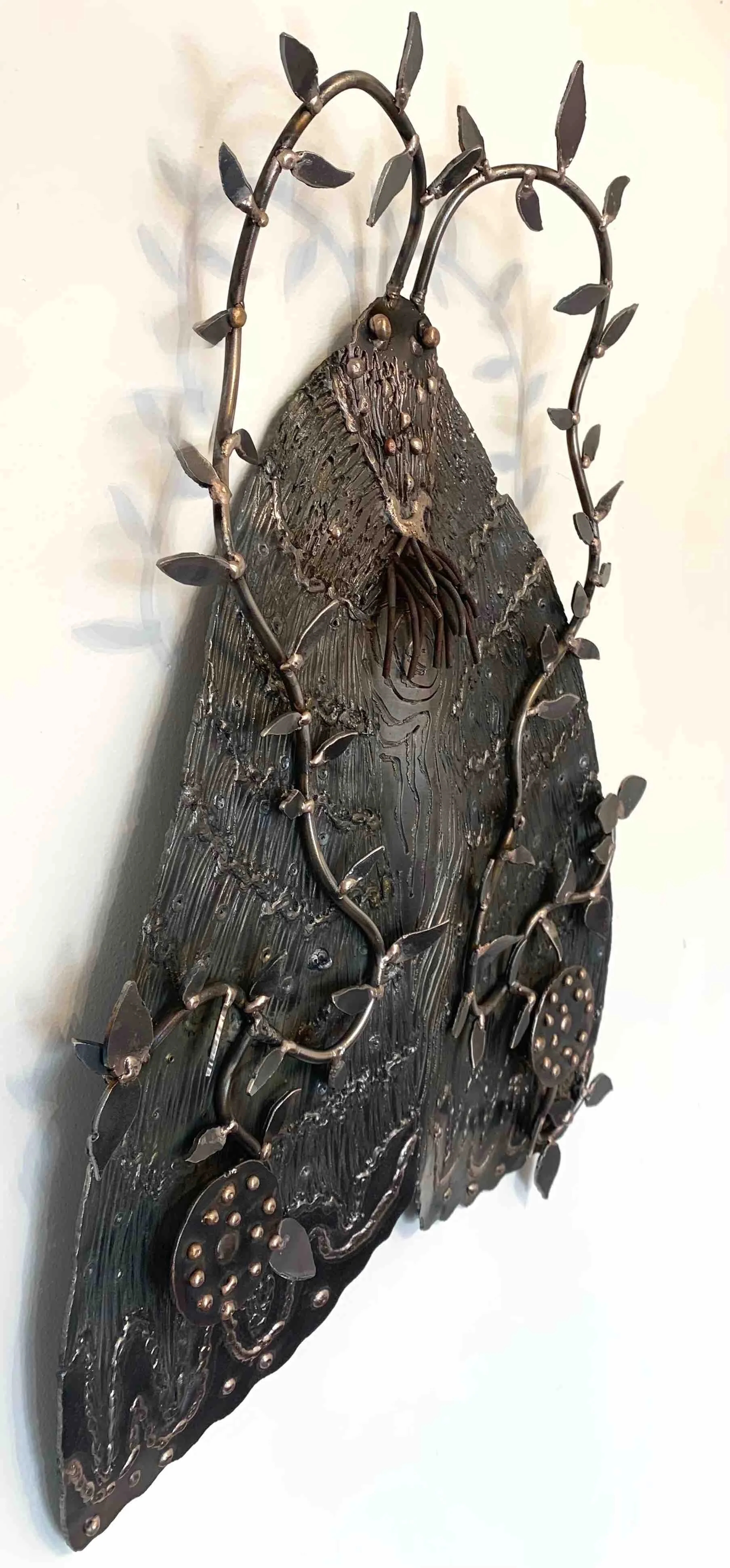  Scott Marr | Bogong Moth | SOLD