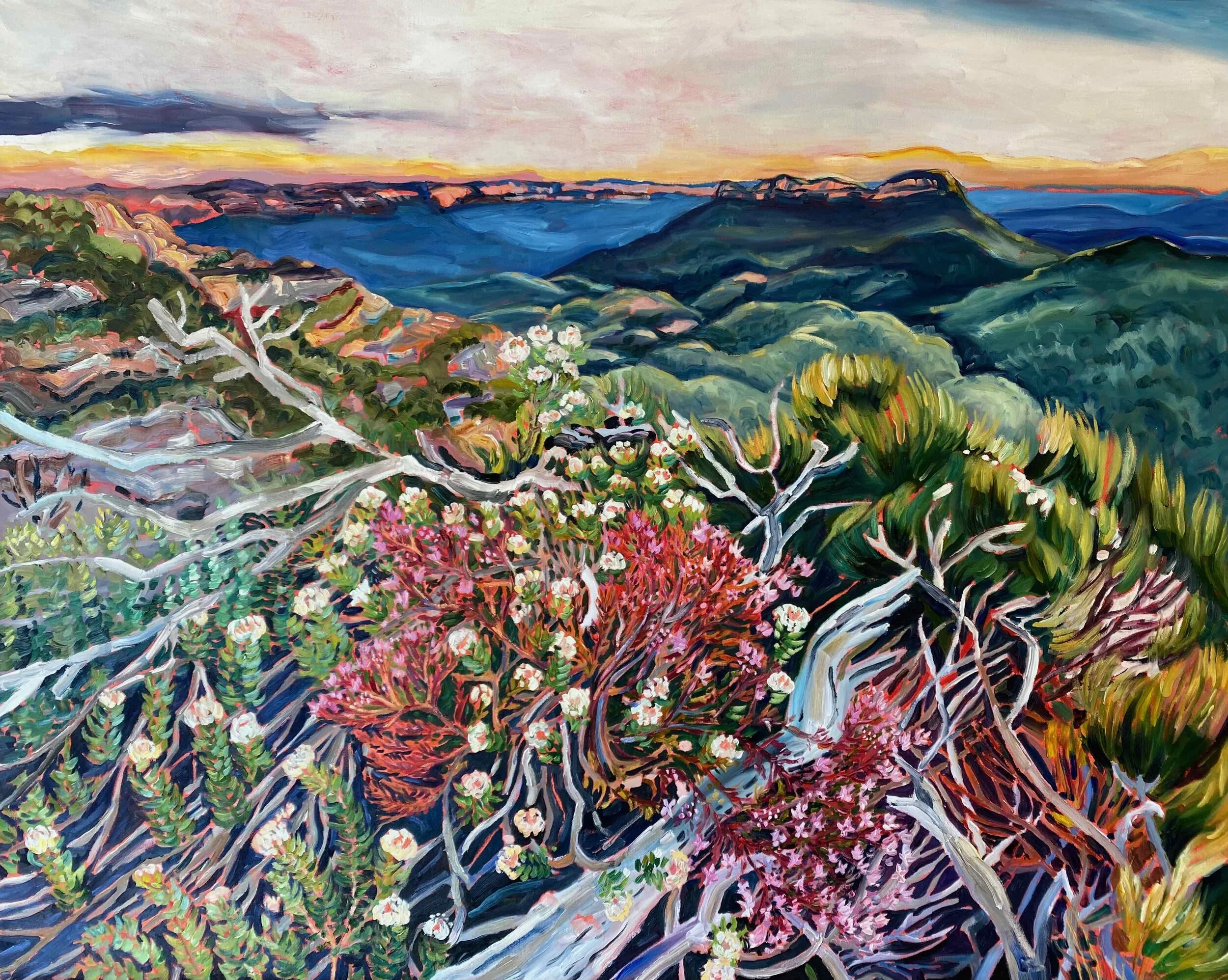 Rachel Hannan | Boronias at Landslide  | SOLD