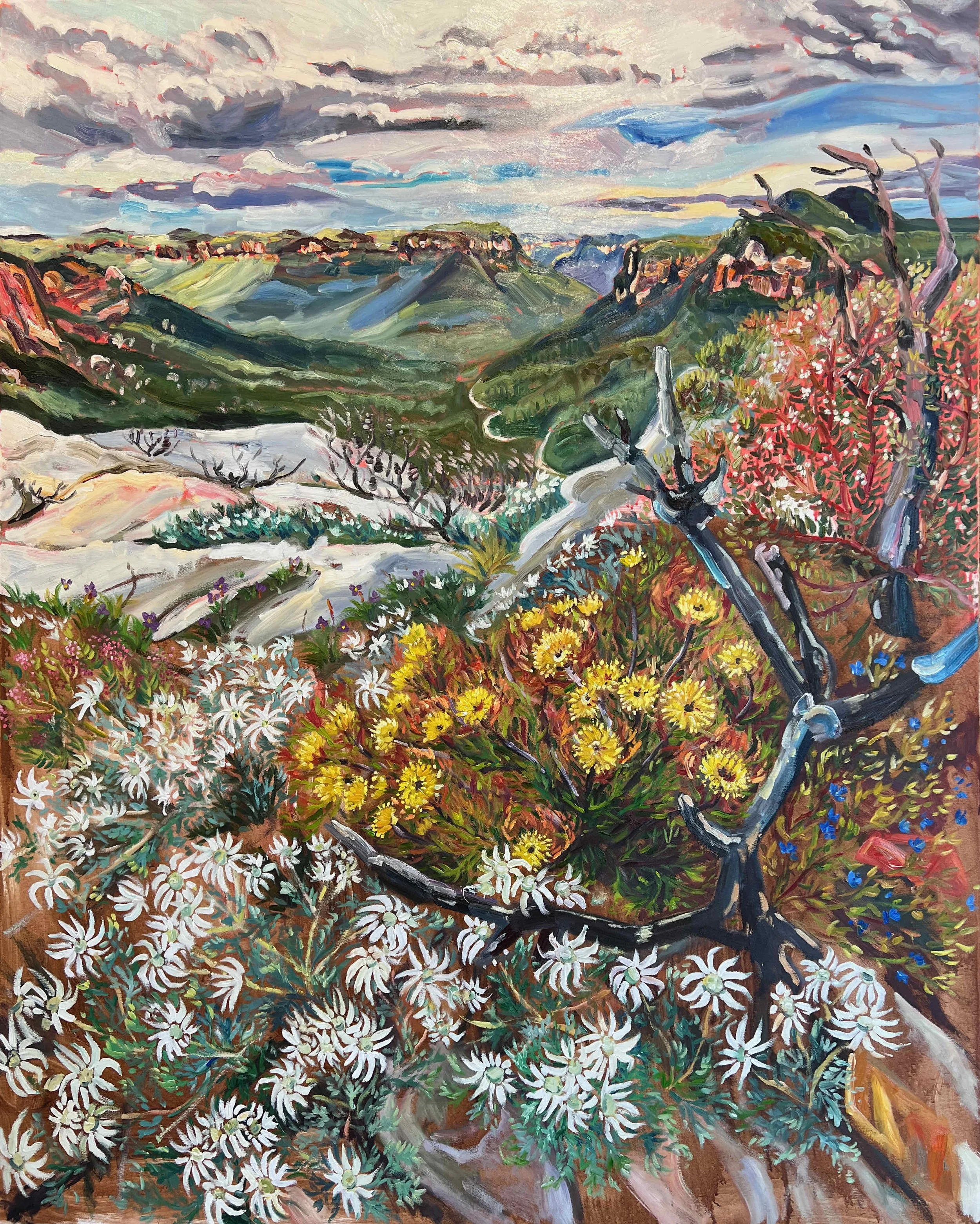 Rachel Hannan | Dancing Isopages and Flannels | SOLD