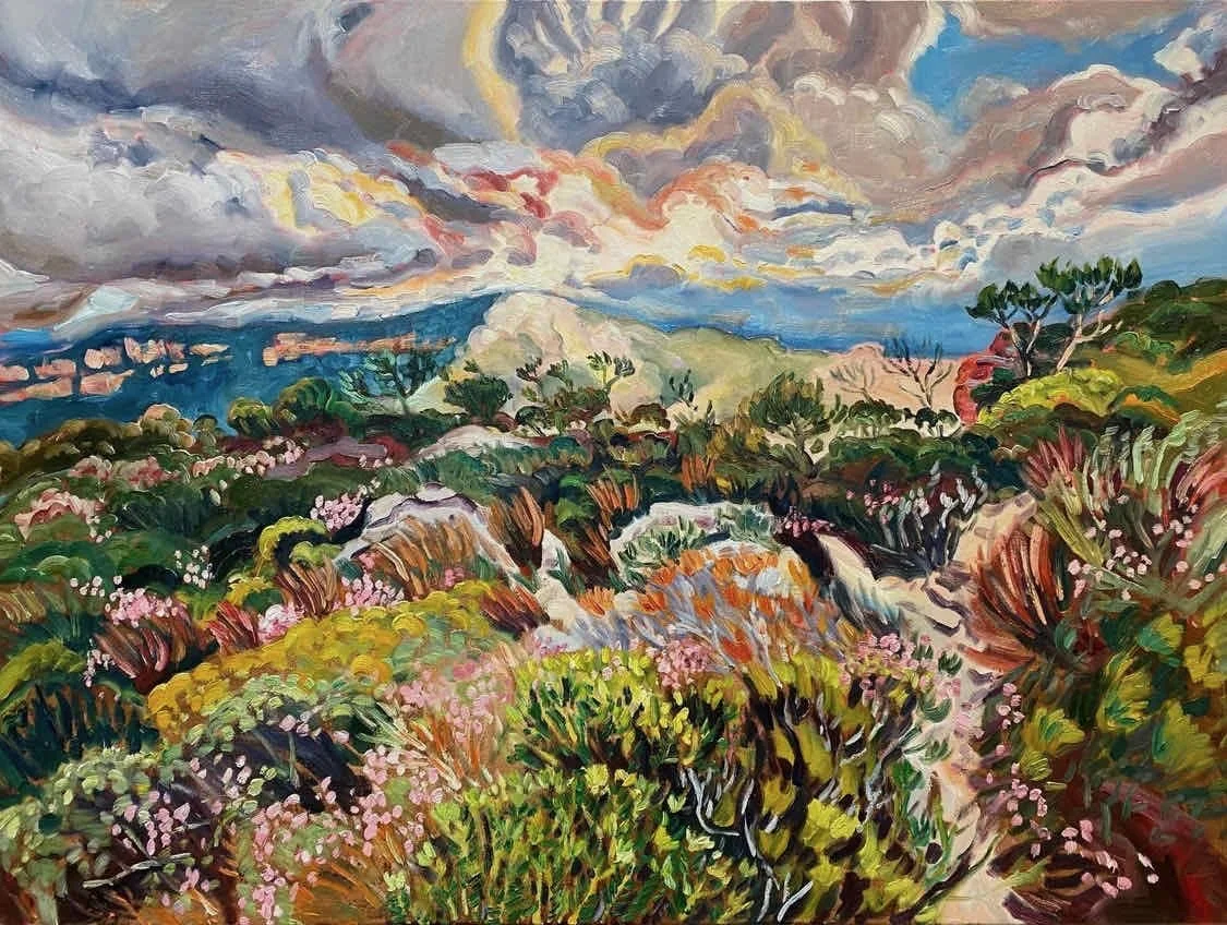 Rachel Hannan | Mist and Kunzea Capitata | SOLD