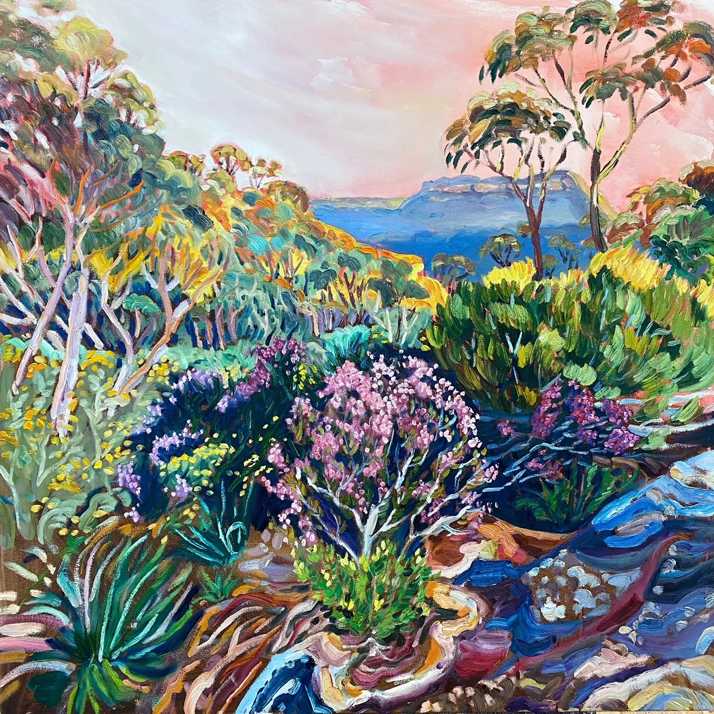 Rachel Hannan | Boronias In The Rocks  | SOLD