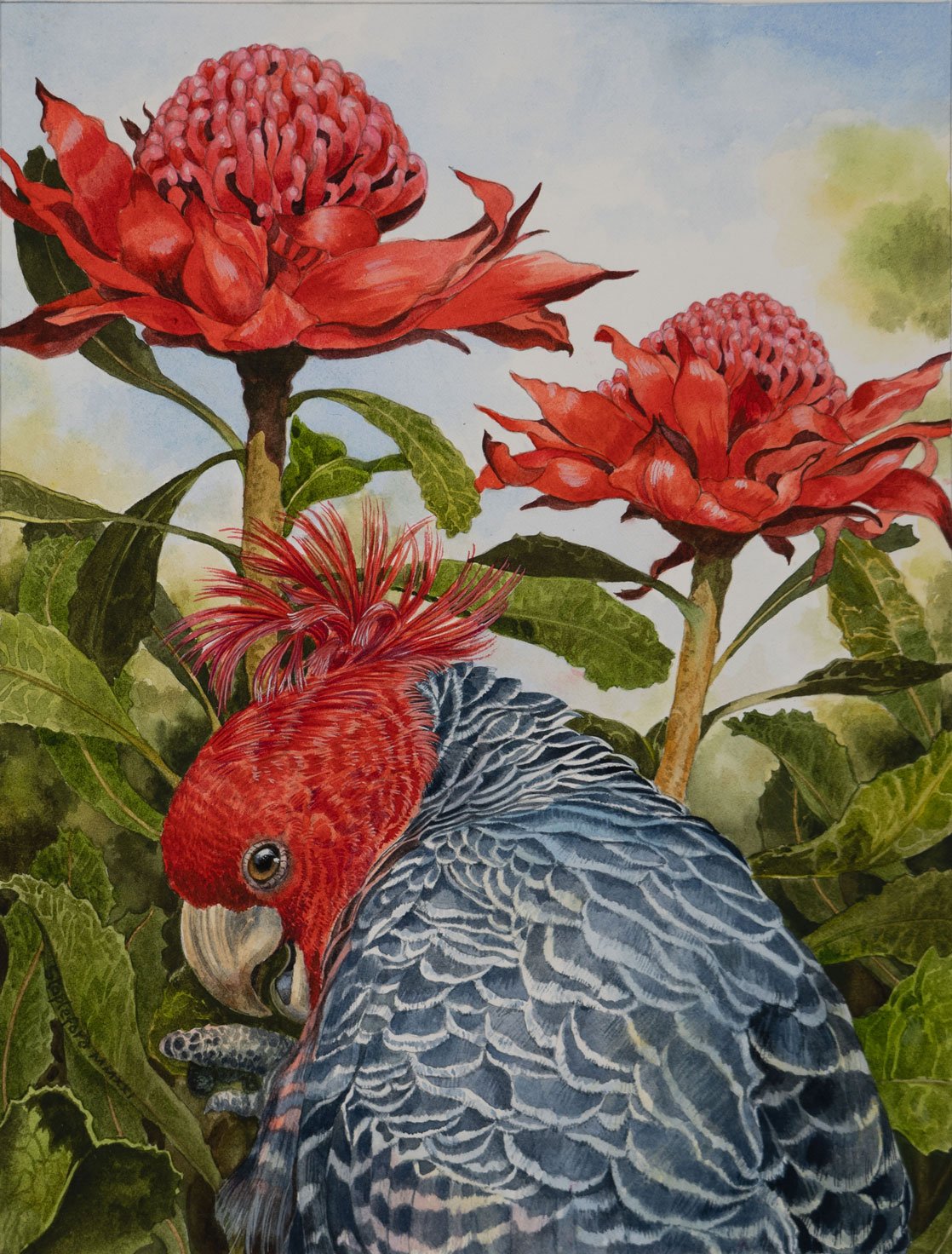 Jane Stapleford | The Colour Red | SOLD