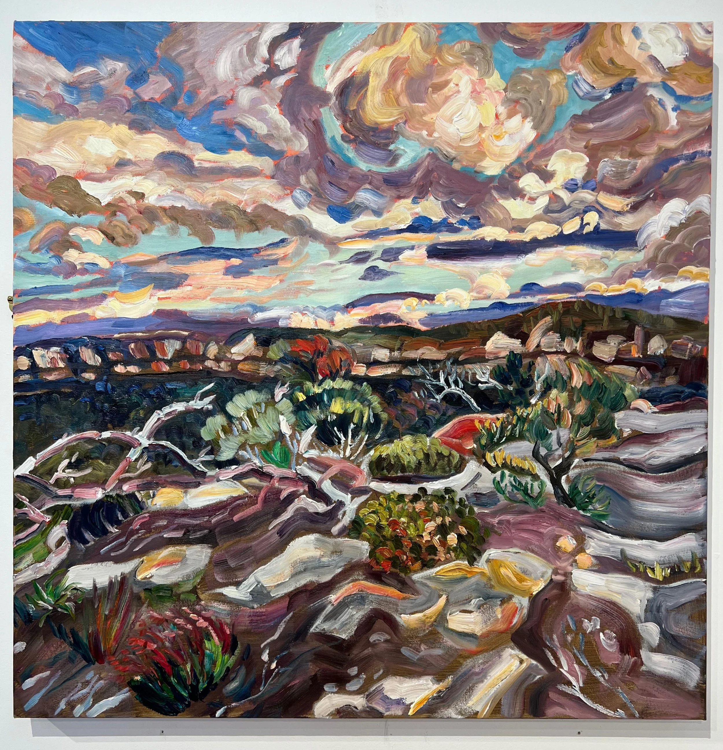 Rachel Hannan | Big Clouds Above Narrowneck | SOLD
