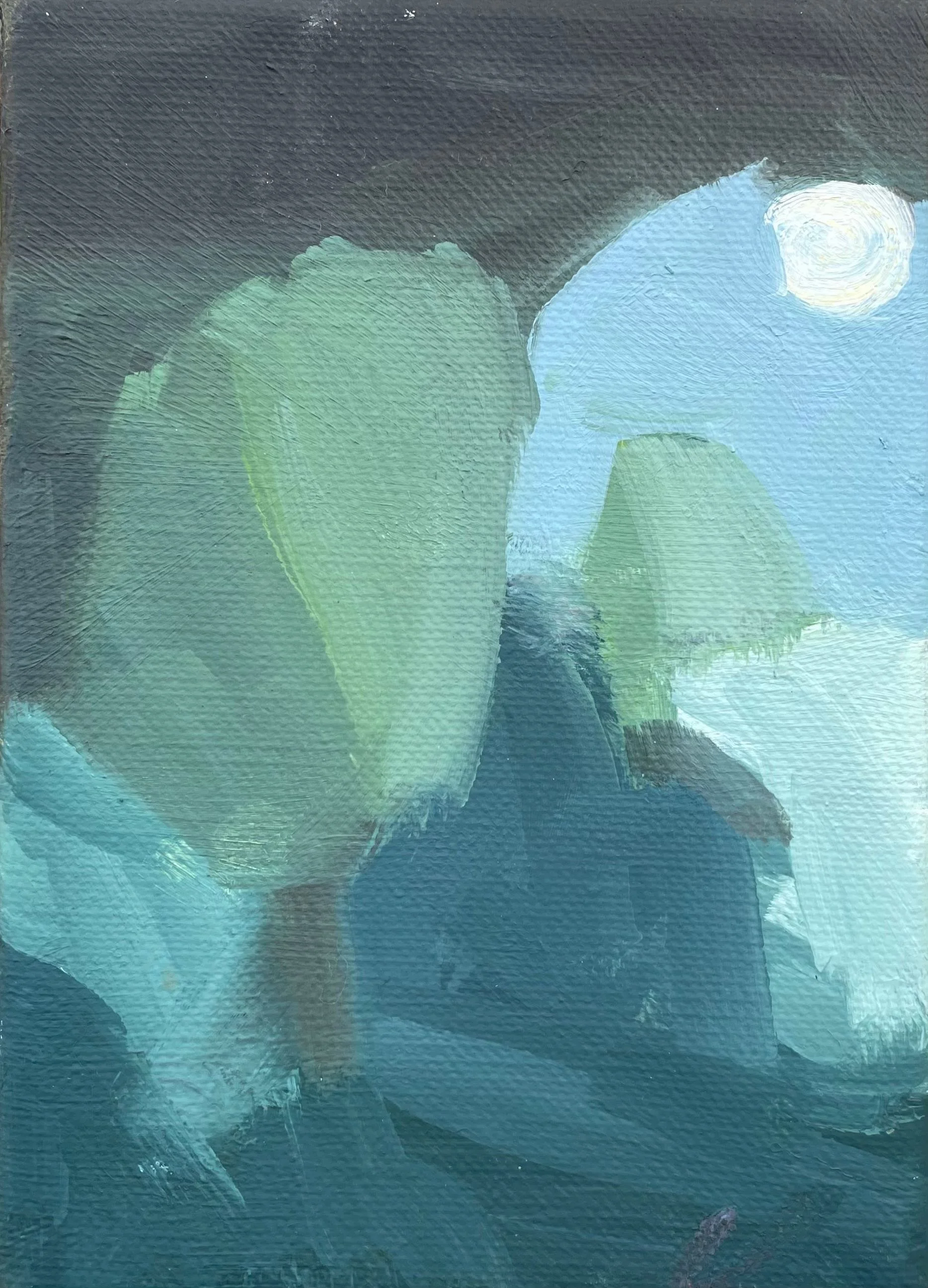 Jane Canfield | Night Walk IV, Machattie Park | SOLD