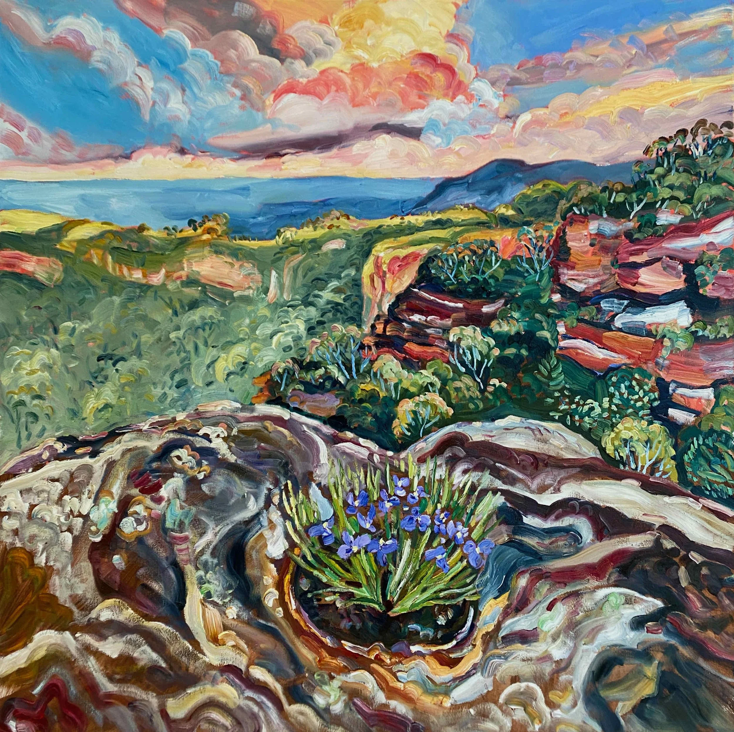 Rachel Hannan | Patersonia at Landslide