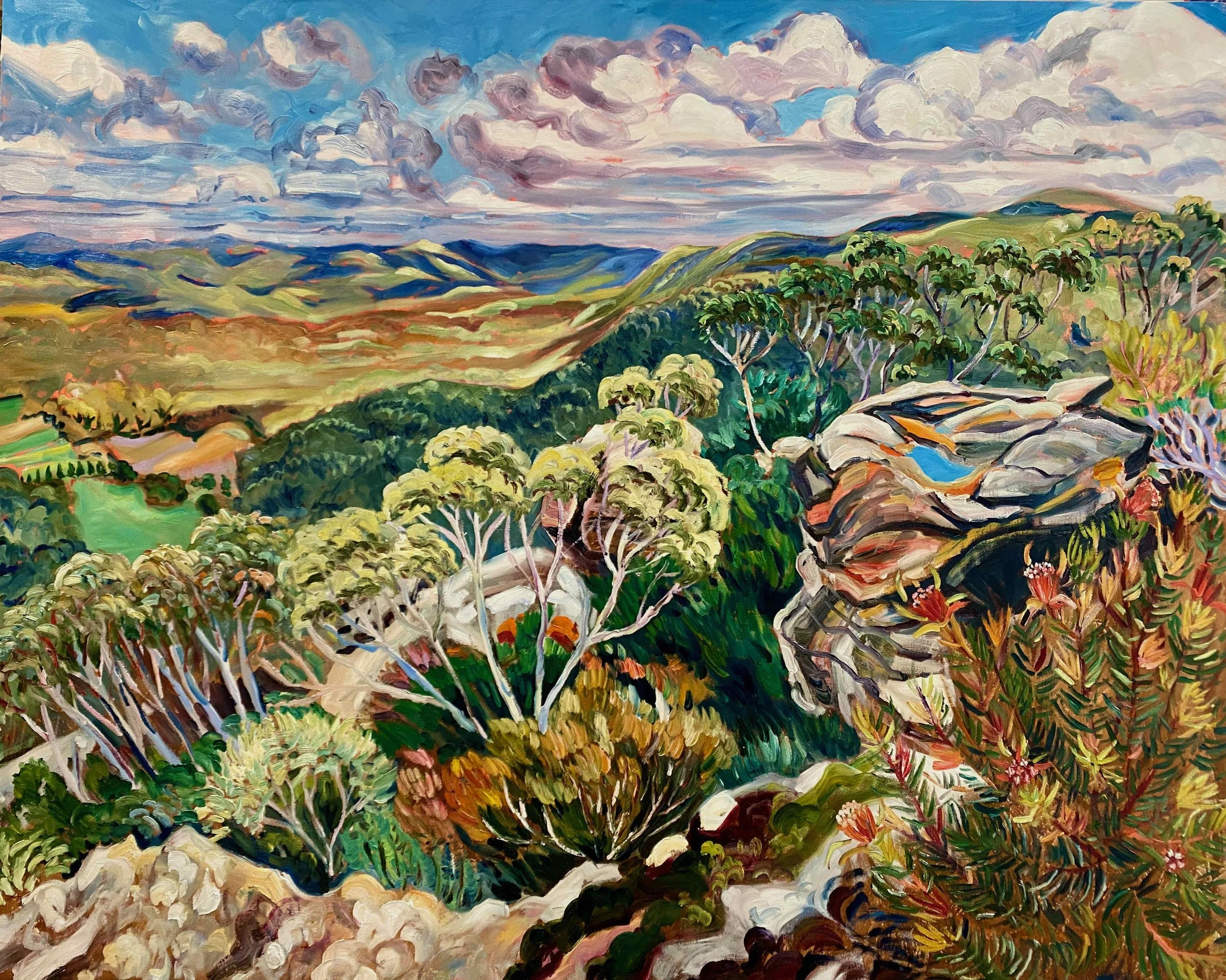 Rachel Hannan | Looking South from Porter's Pass | SOLD