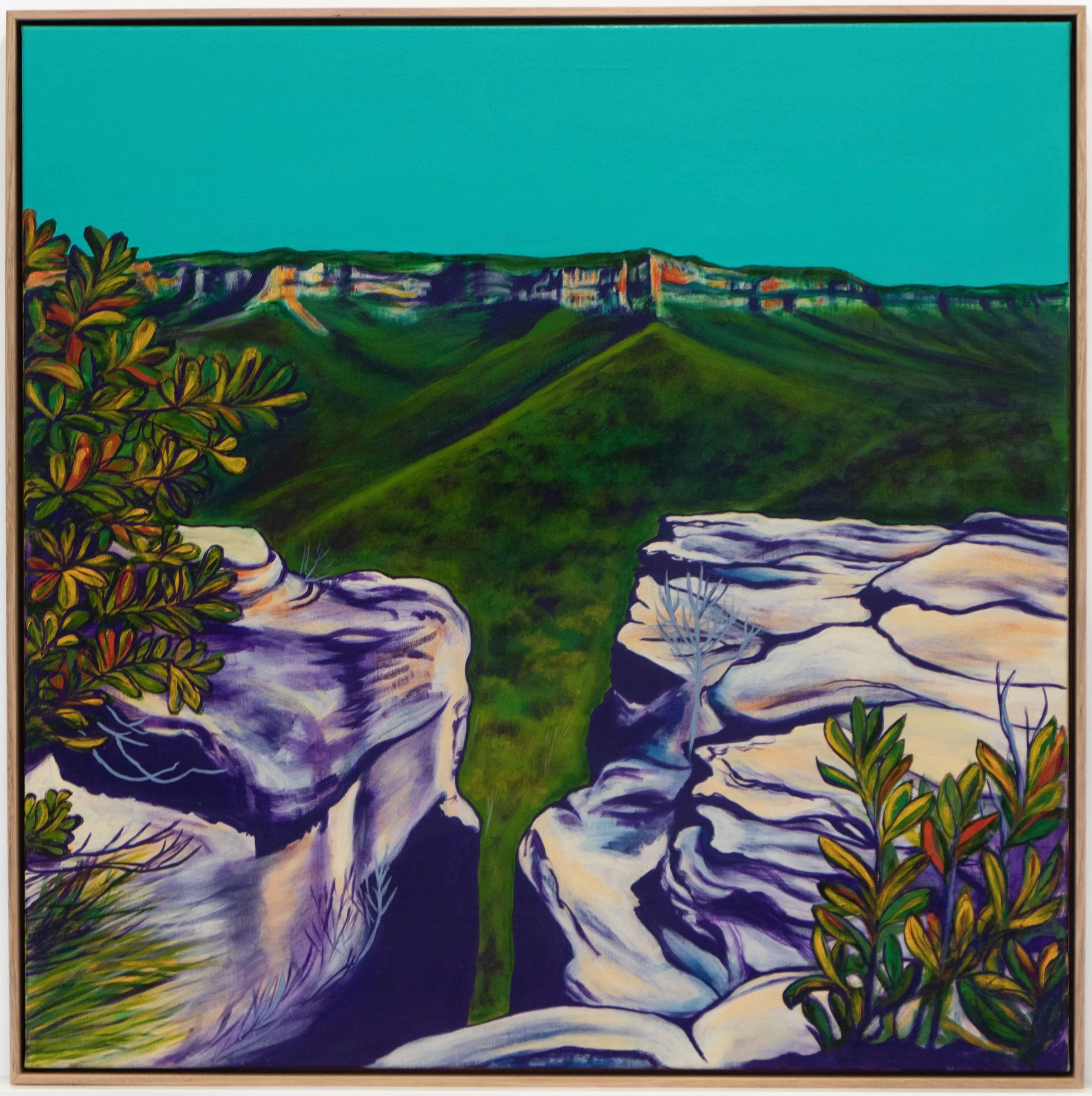 Olivia Shimeld | View From Mt Solitary Large | SOLD