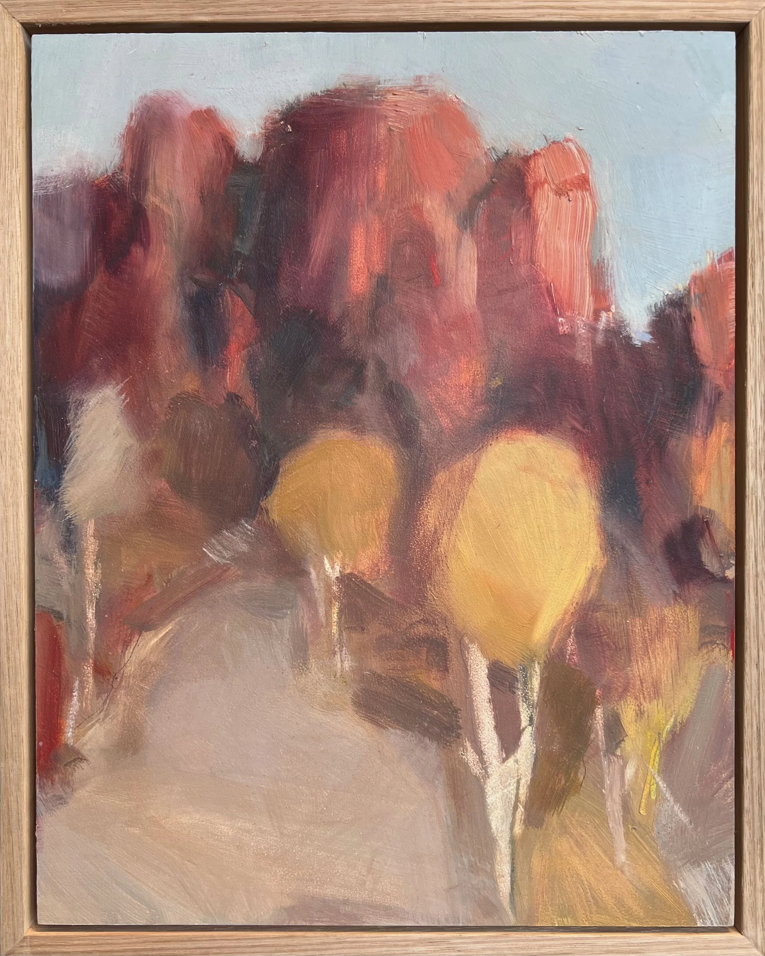 Jane Canfield | Escarpment and Wattle | SOLD