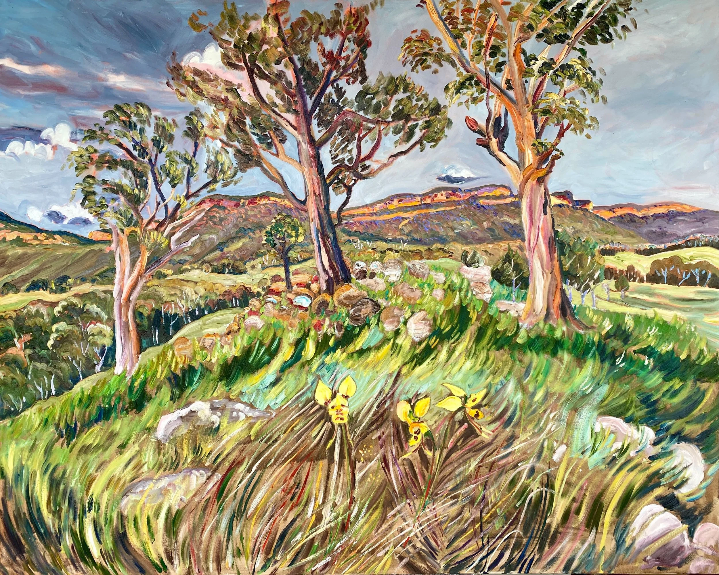 Rachel Hannan | Donkey Orchids On The Knoll | SOLD