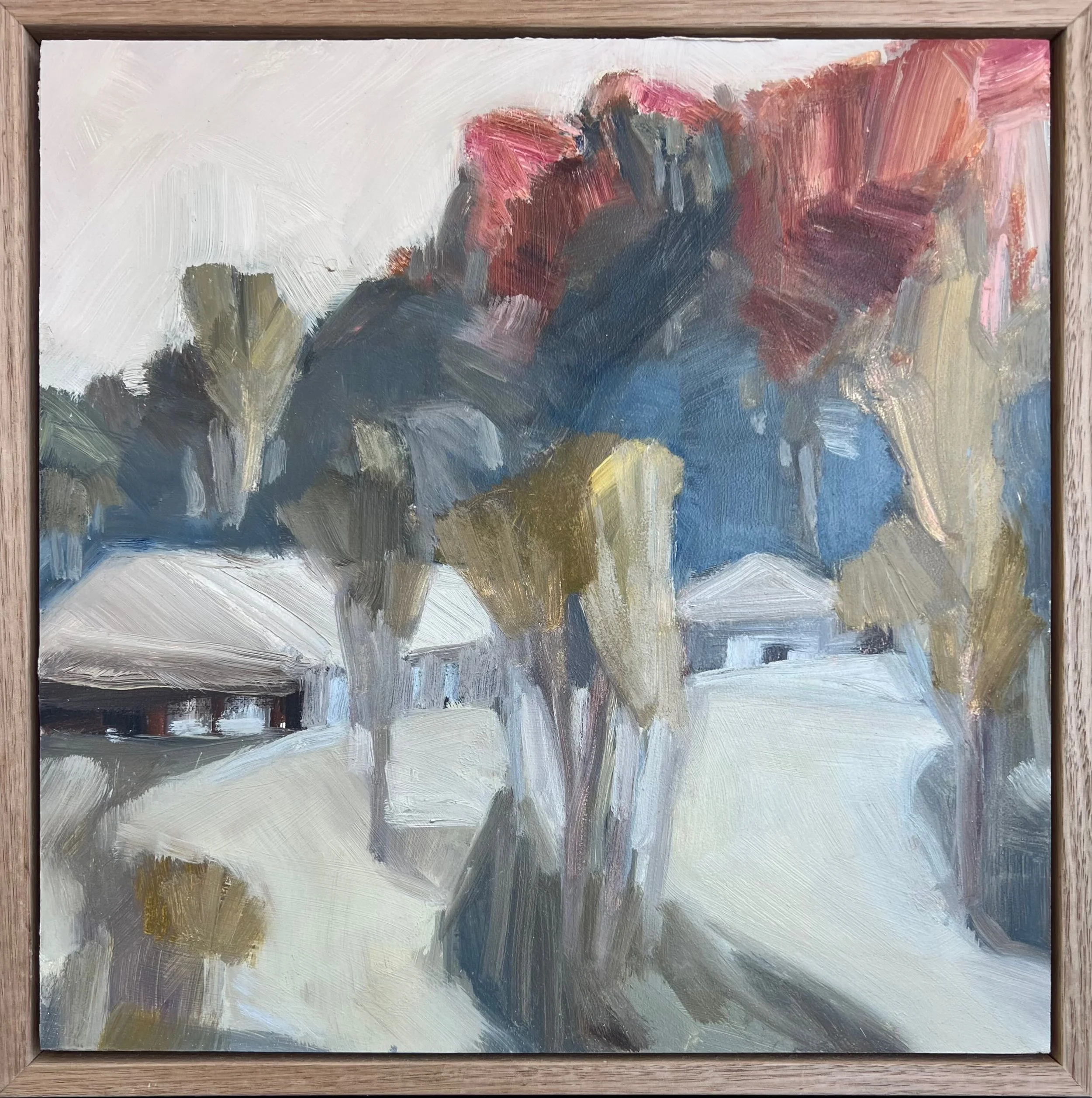 Jane Canfield | Shadows, Wolgan Valley | SOLD