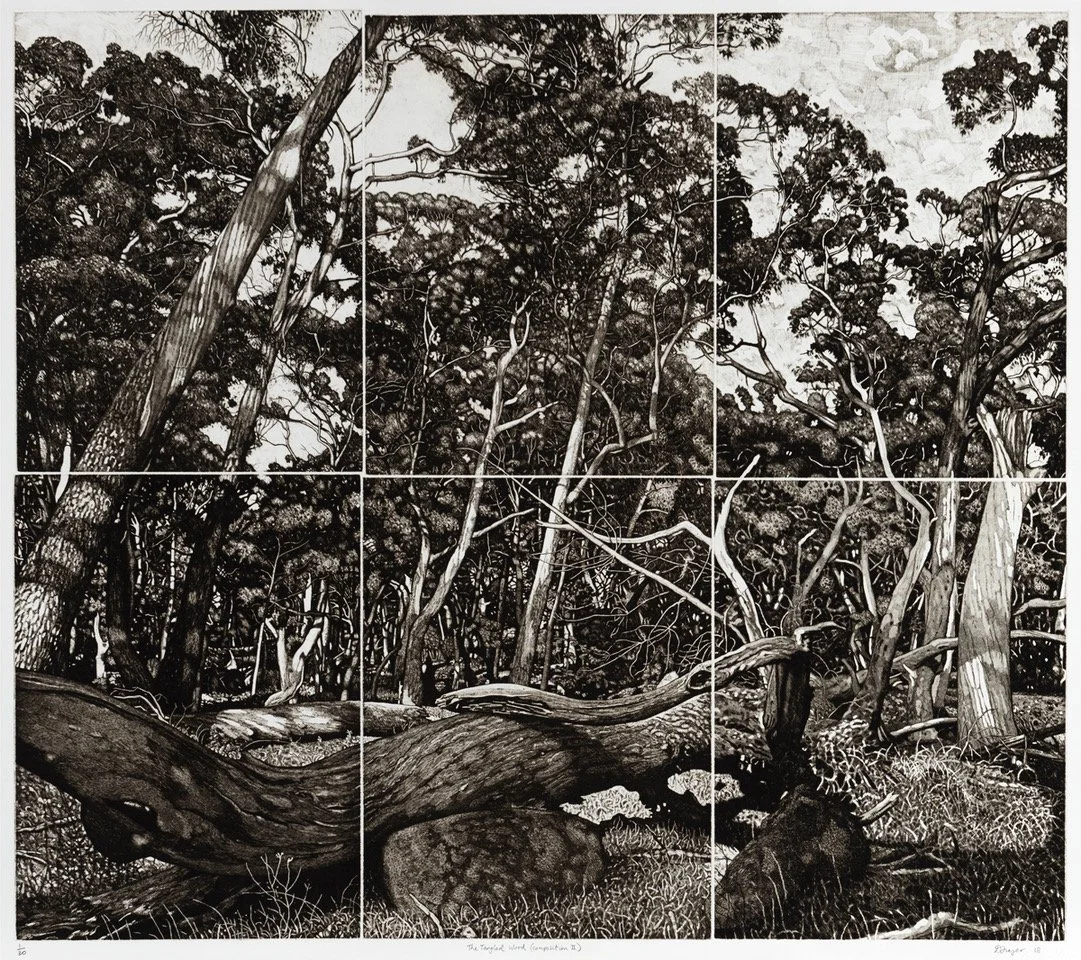 David Frazer | The Tangled Wood (Composition II)