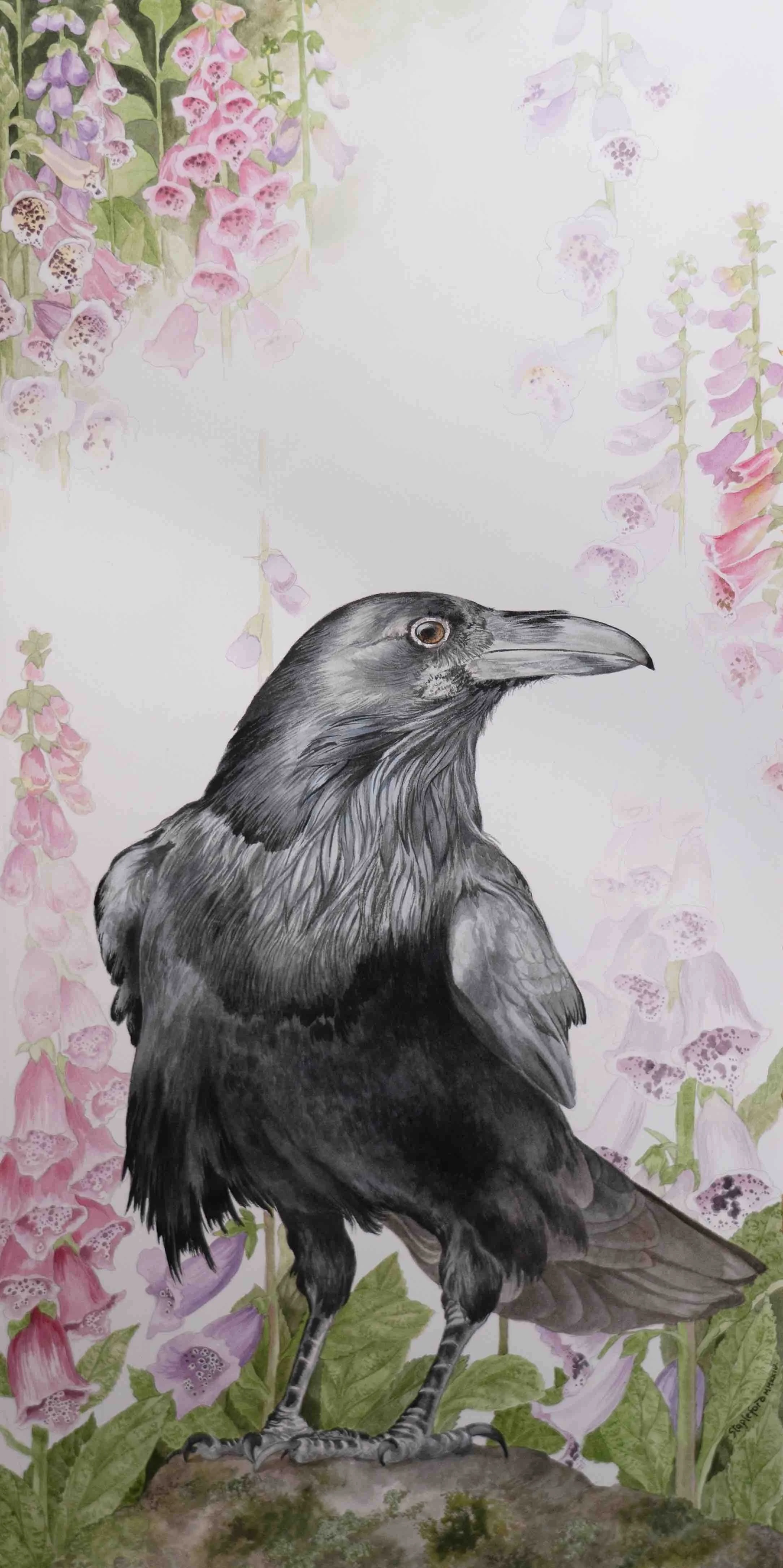 Jane Stapleford | Raven Morning Mist