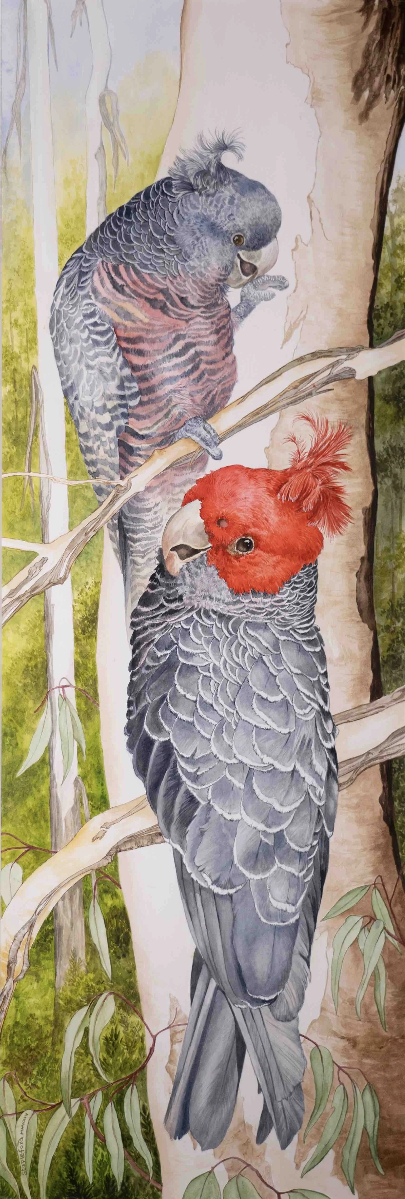 Jane Stapleford | Two Gang Gangs | SOLD