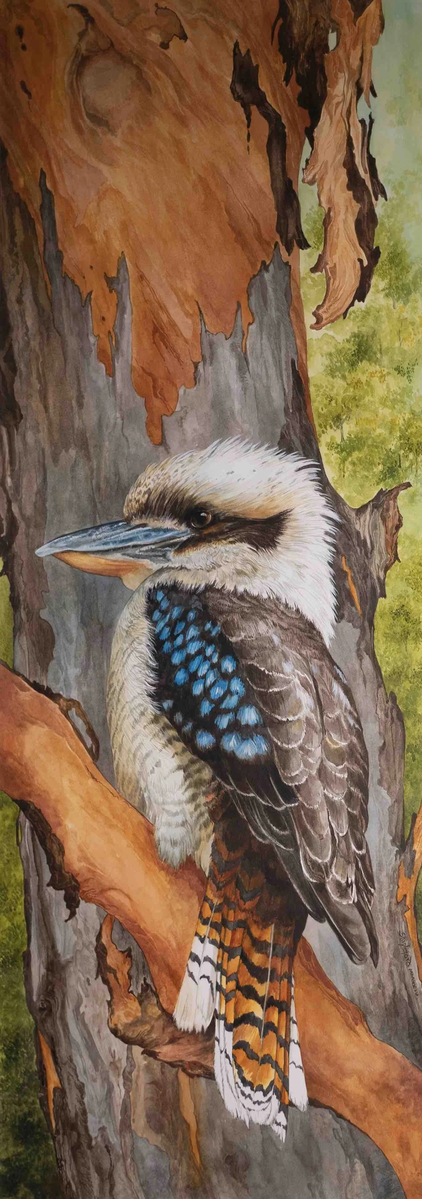 Jane Stapleford | Kookaburra and Red Gum | SOLD