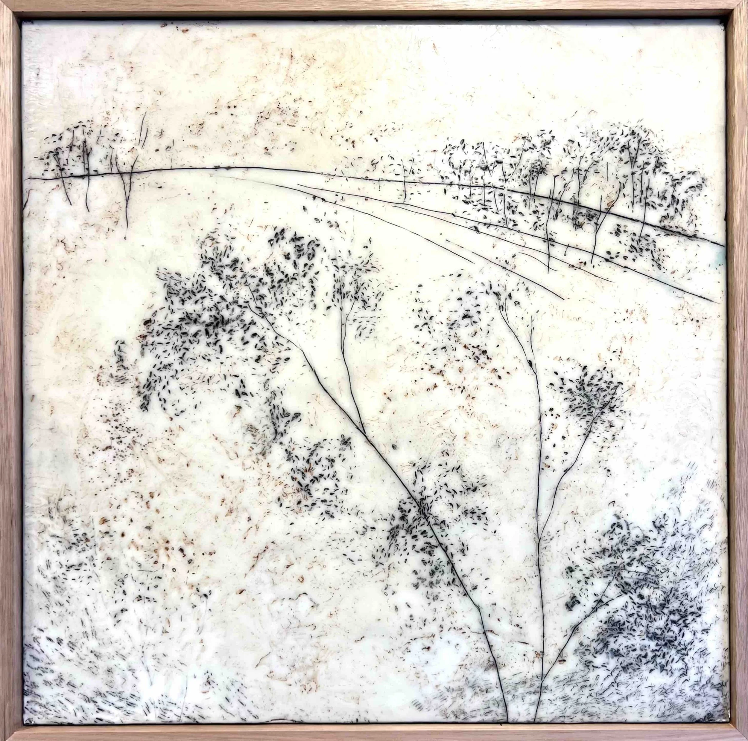 Kathryn Hope | Kanimbla Valley | SOLD
