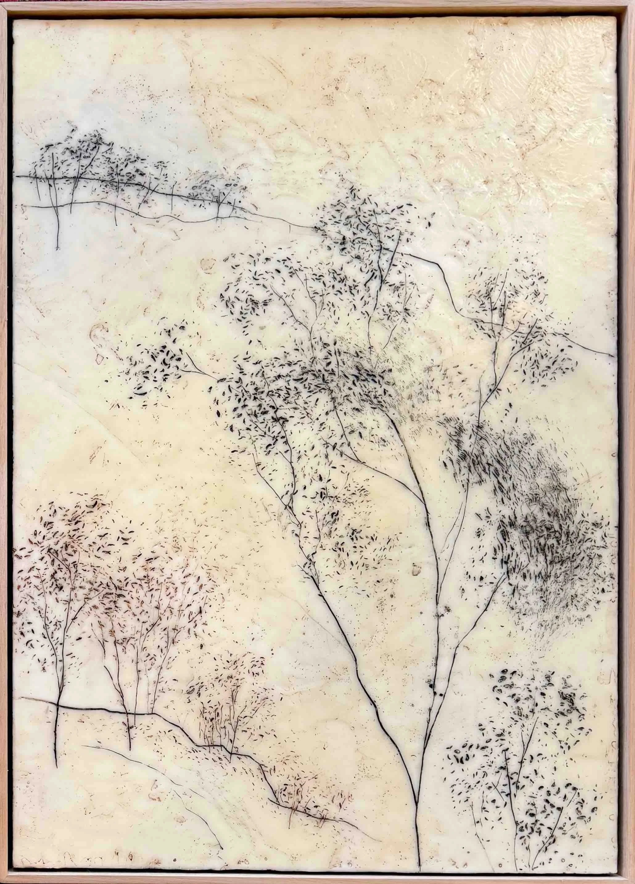 Kathryn Hope | Dawn Light - Megalong II | SOLD