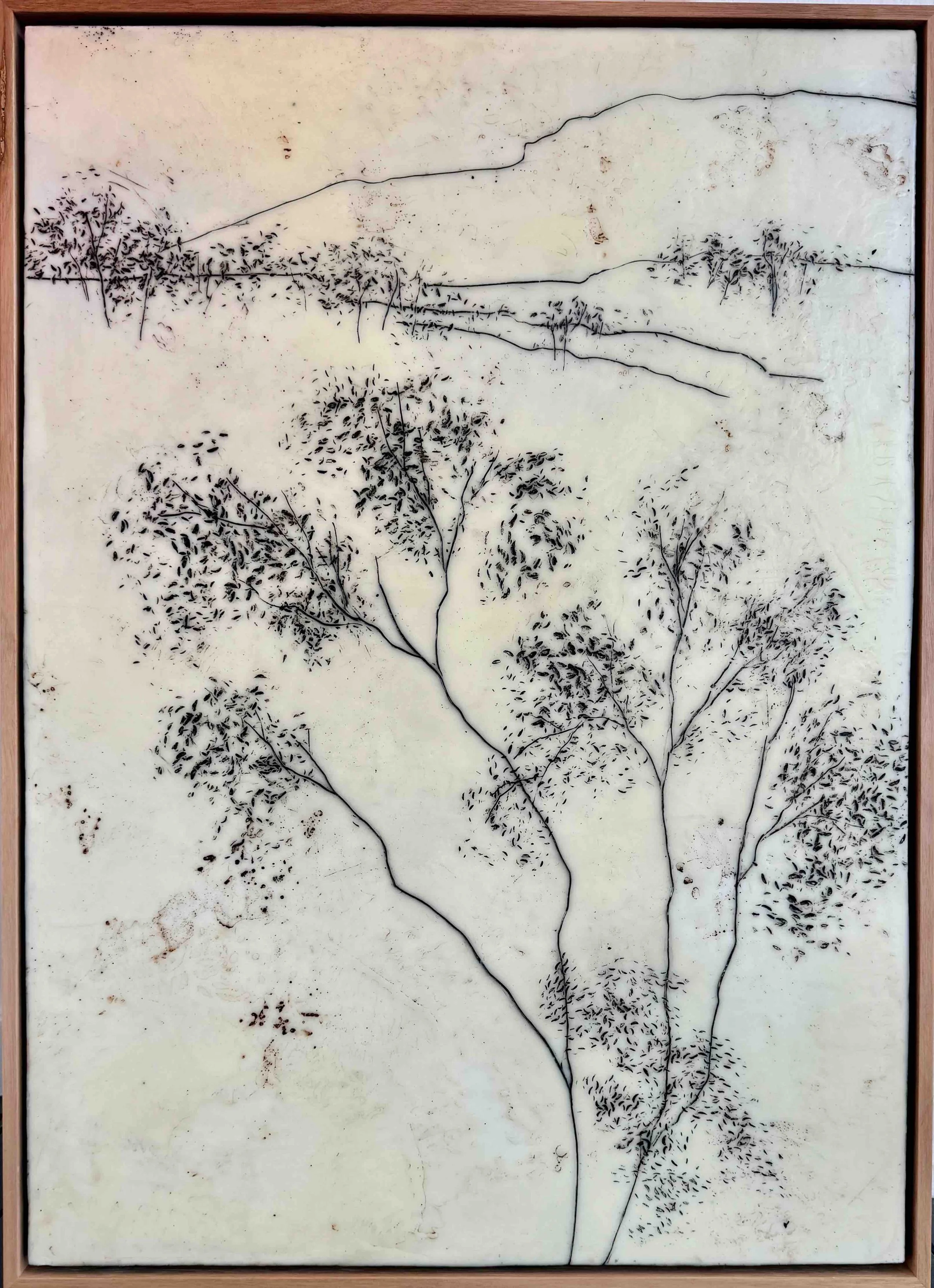 Kathryn Hope | Megalong | SOLD