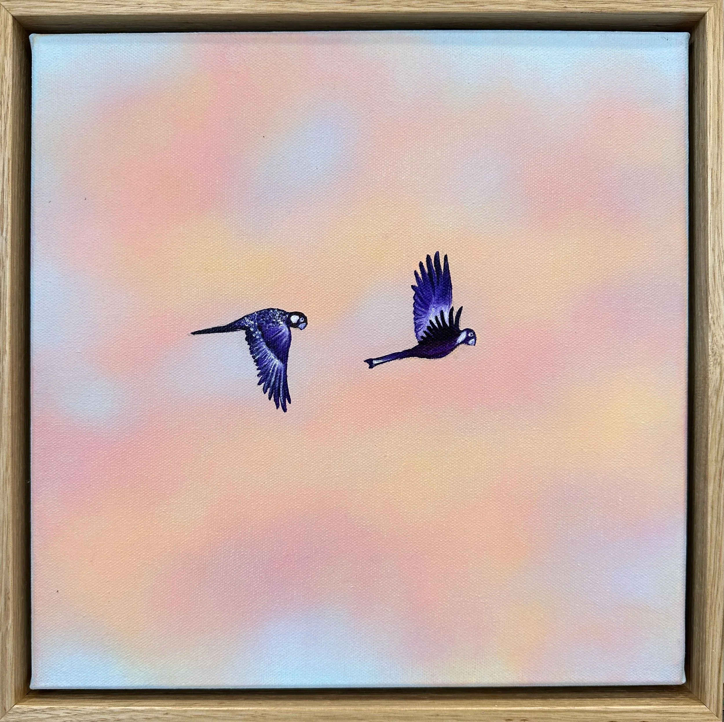 Olivia Shimeld | Cloud Sky with Black Cockatoos small 6