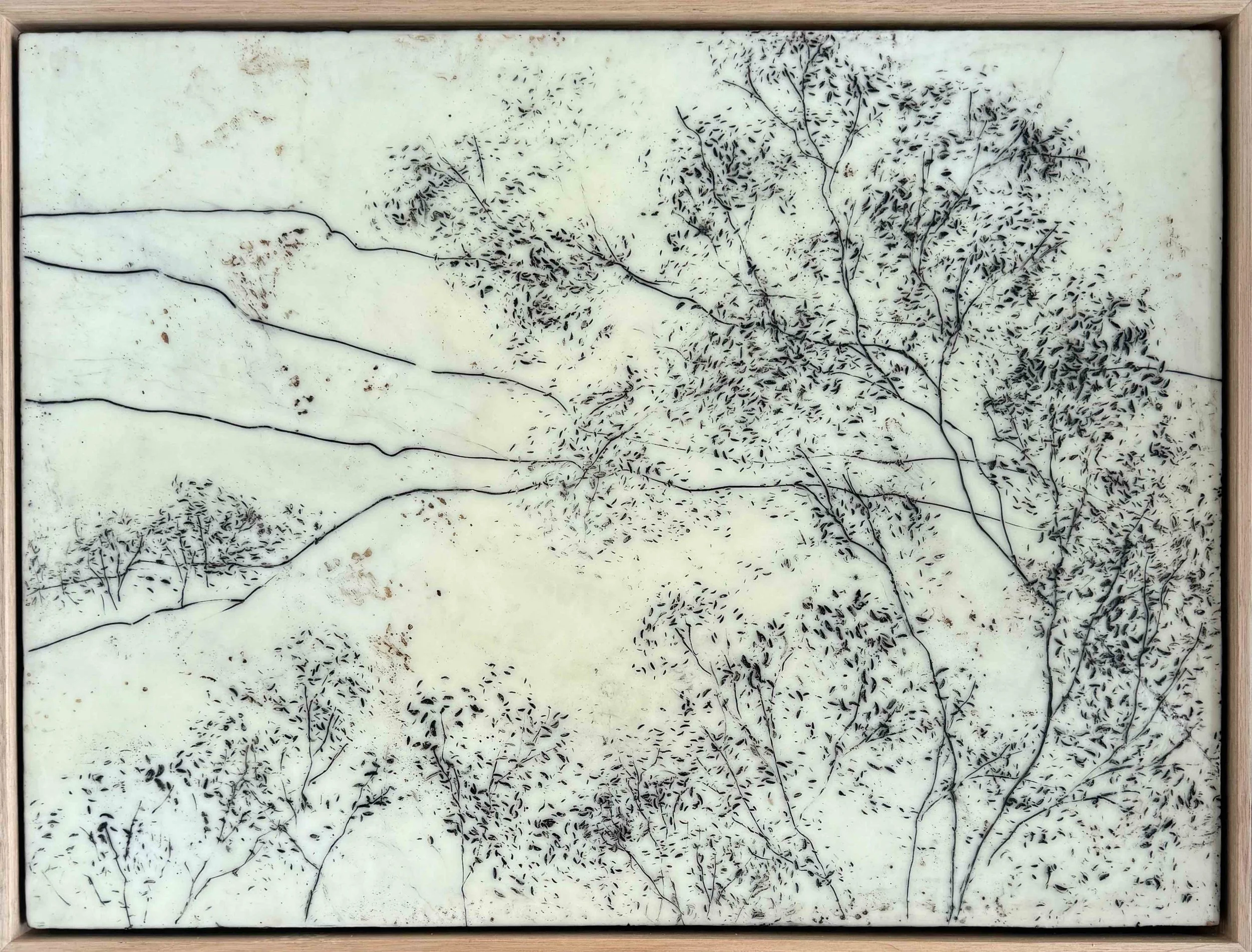 Kathryn Hope | Wind Blown Tree - Grose Valley | SOLD
