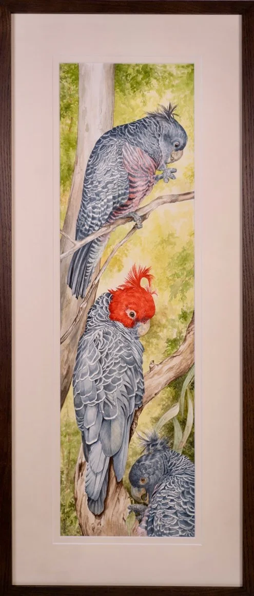 Jane Stapleford | Three Gang Gangs