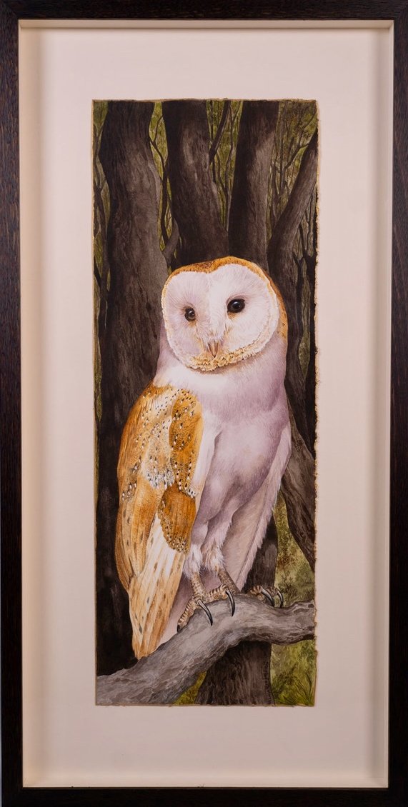 Jane Stapleford | Evening Barn Owl | SOLD
