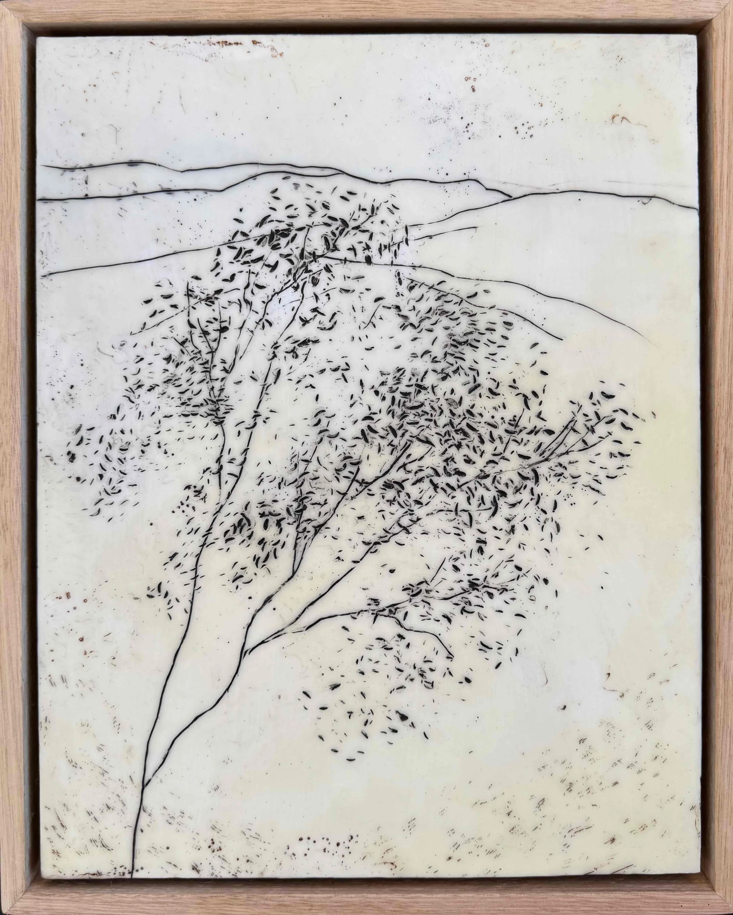 Kathryn Hope | Mountain Vista 7 | SOLD