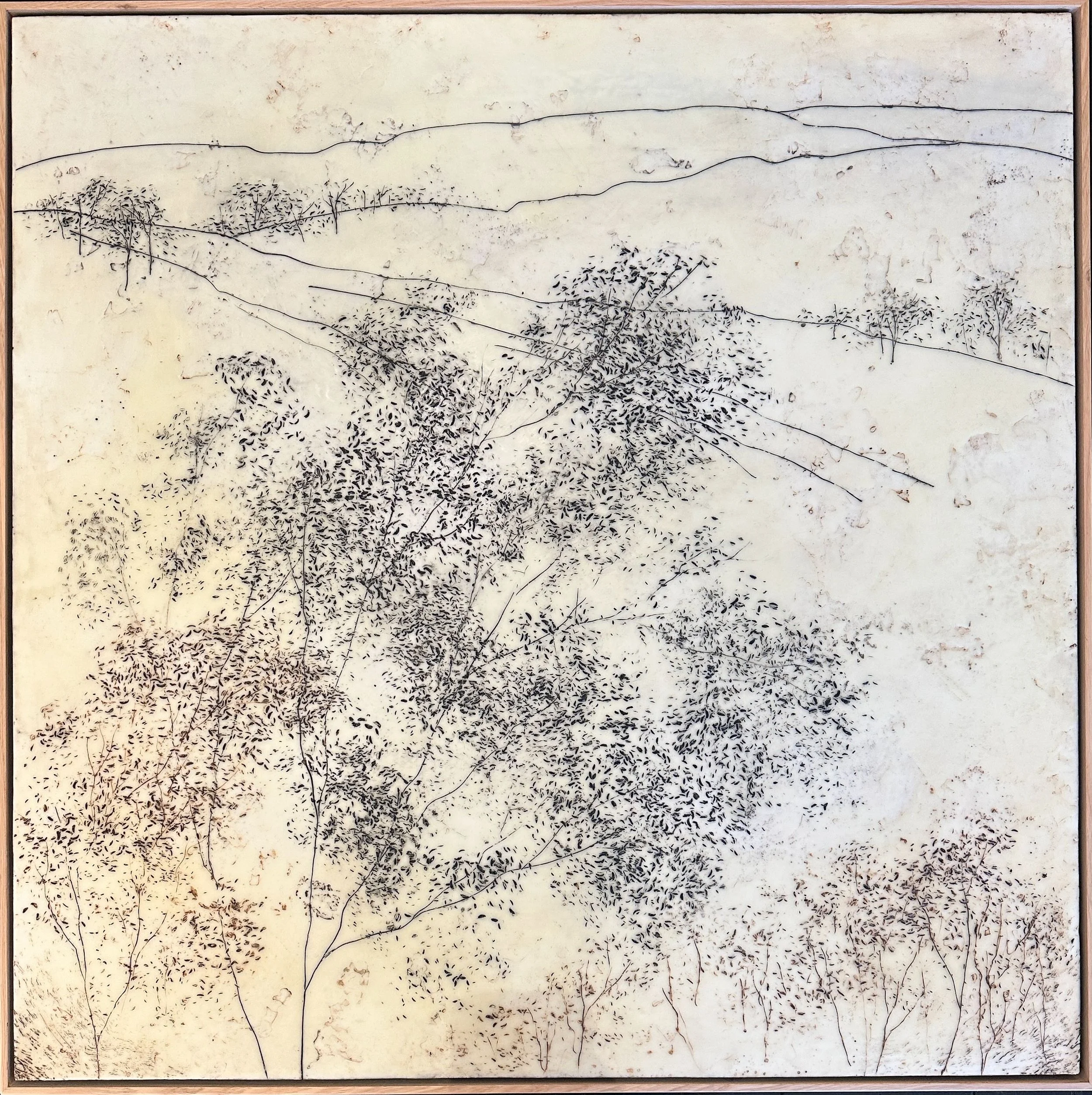 Kathryn Hope | Along Bells Line Of Road | SOLD