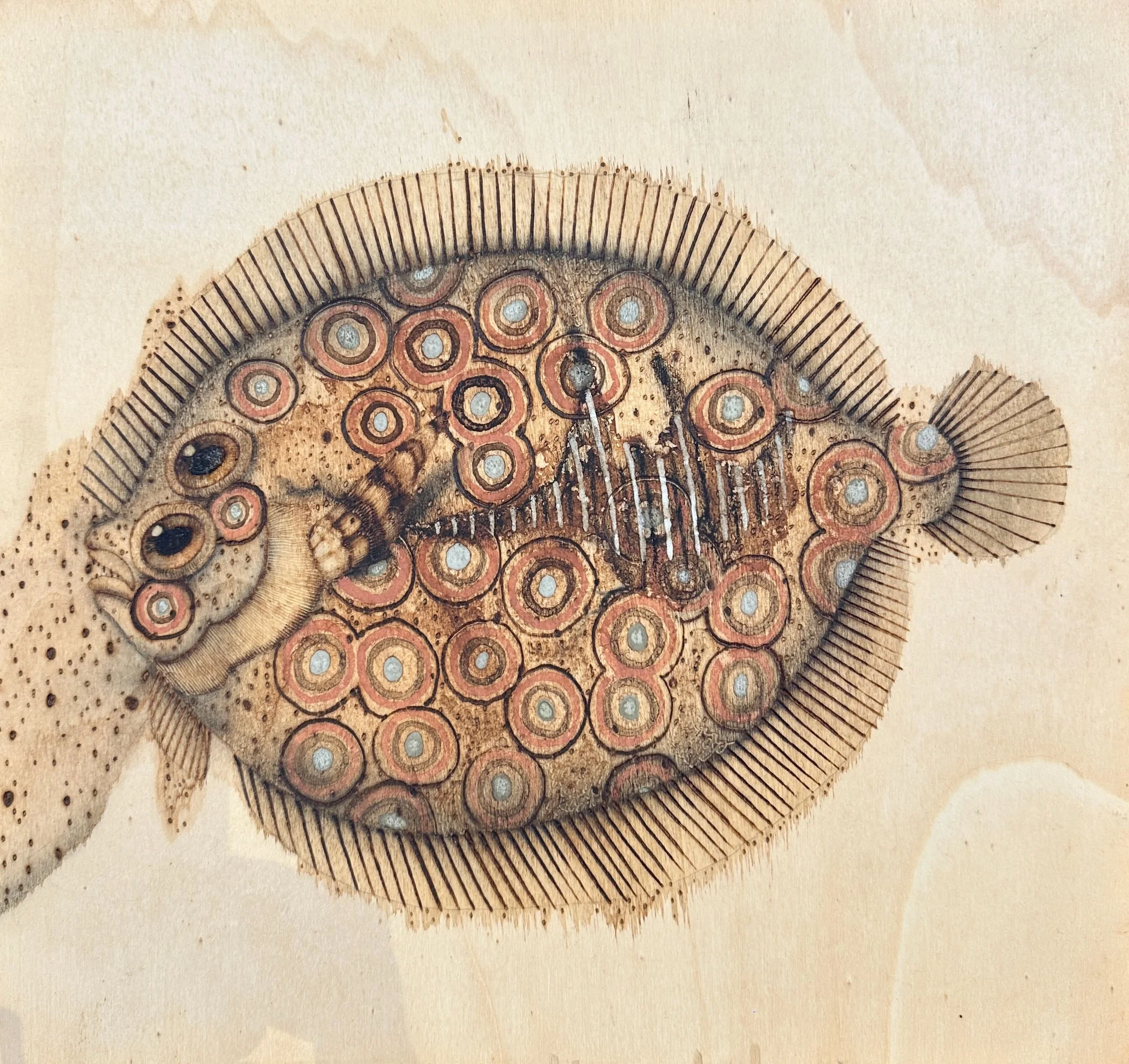  Scott Marr | Flounder | SOLD