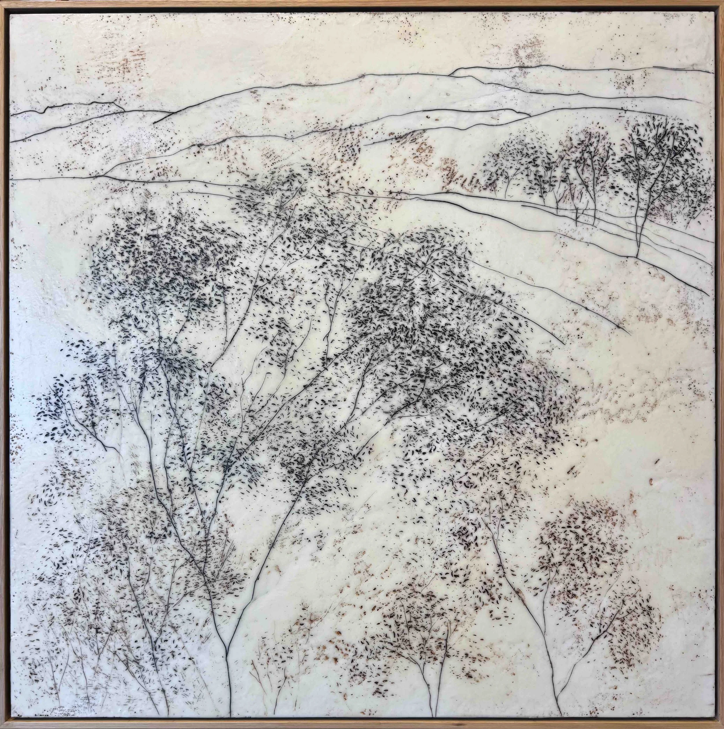 Kathryn Hope | View From Kedumba Ridge | SOLD