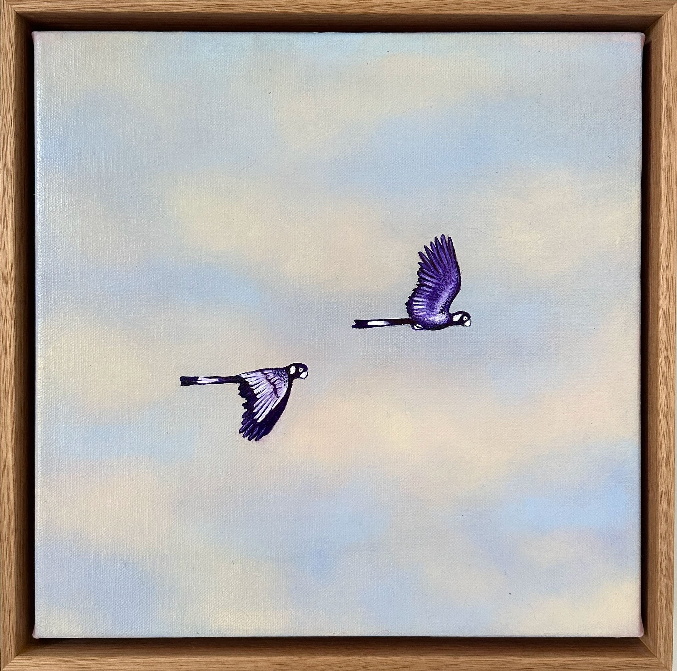 Olivia Shimeld | Black Cockatoos Blackheath 7