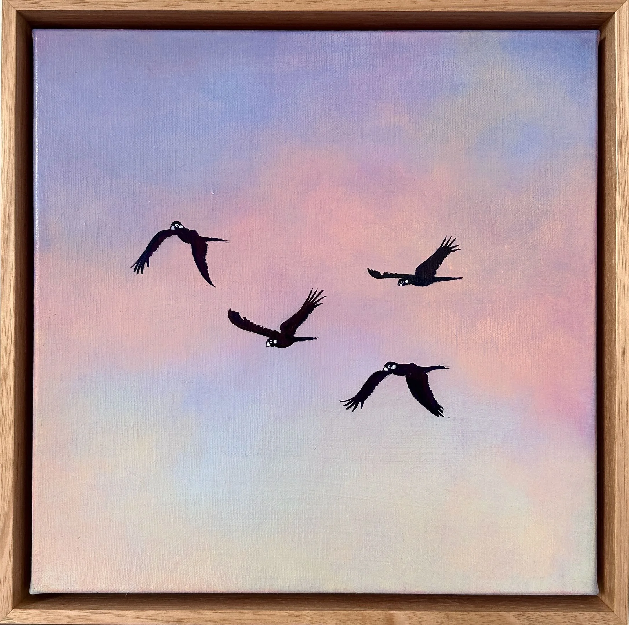 Olivia Shimeld | Black Cockatoos Blackheath 9 | SOLD