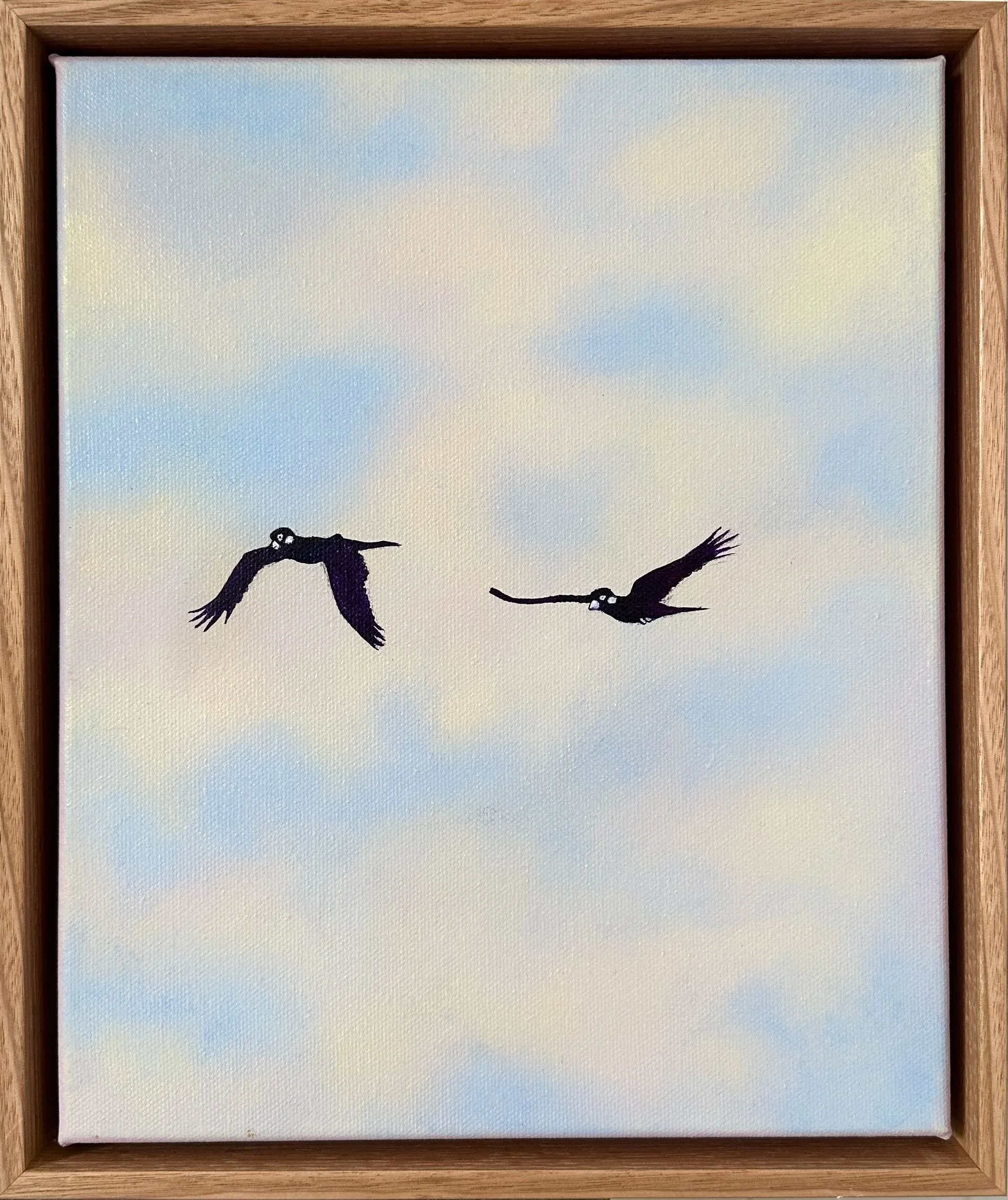 Olivia Shimeld | Black Cockatoos Blackheath 10