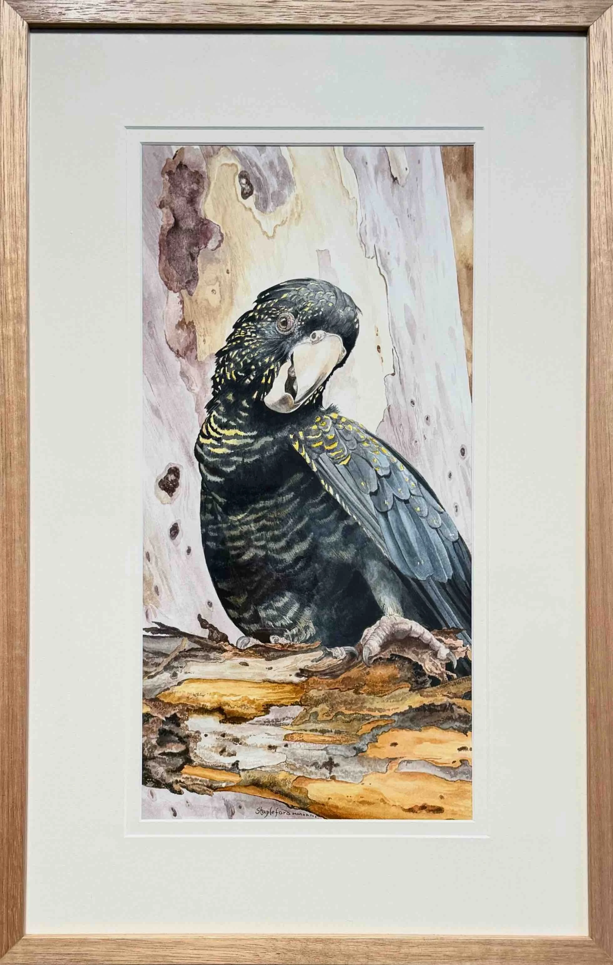 Jane Stapleford | Cockatoo on a Branch