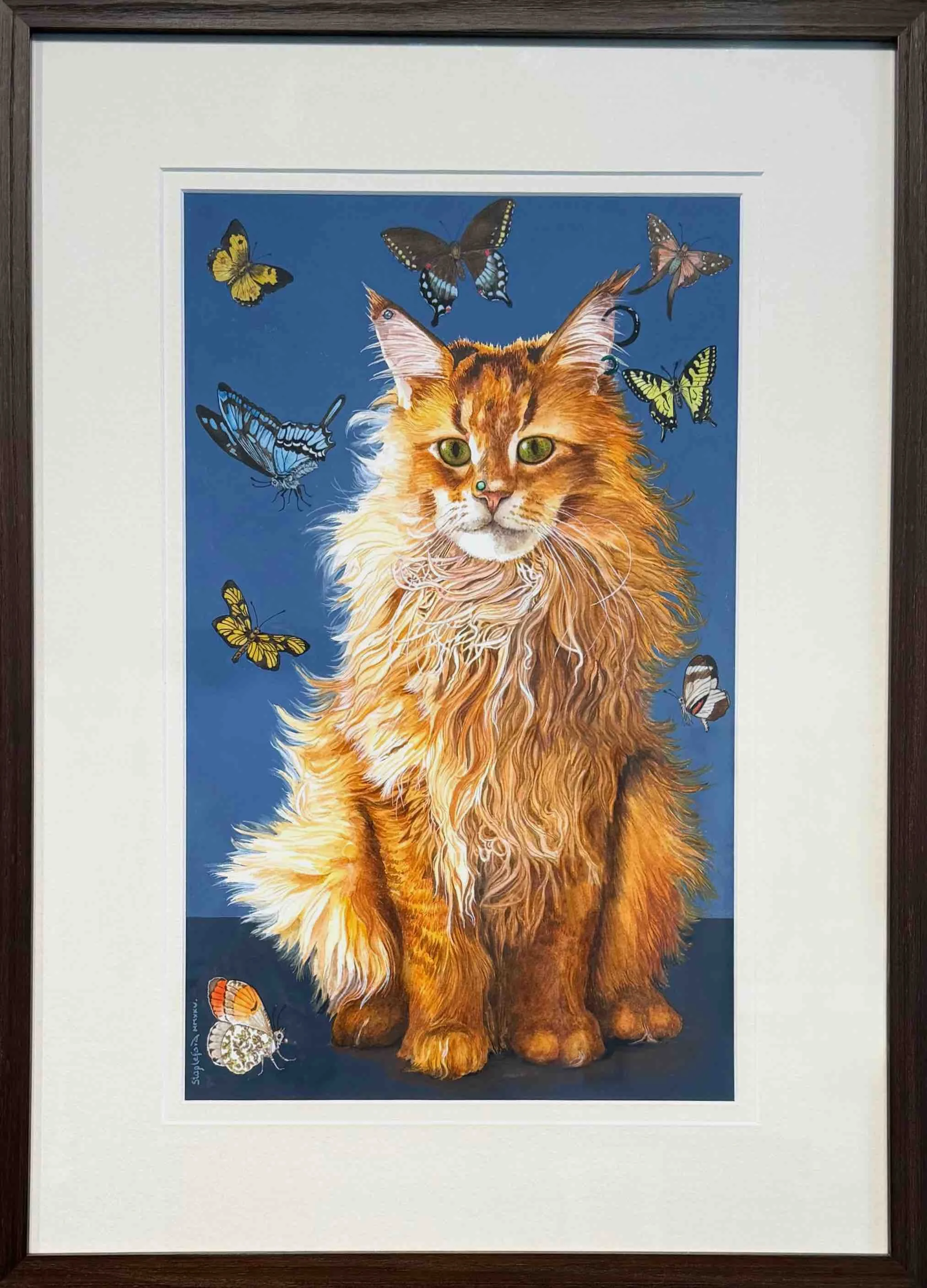 Jane Stapleford | Maine Coon - Butterfly Ball