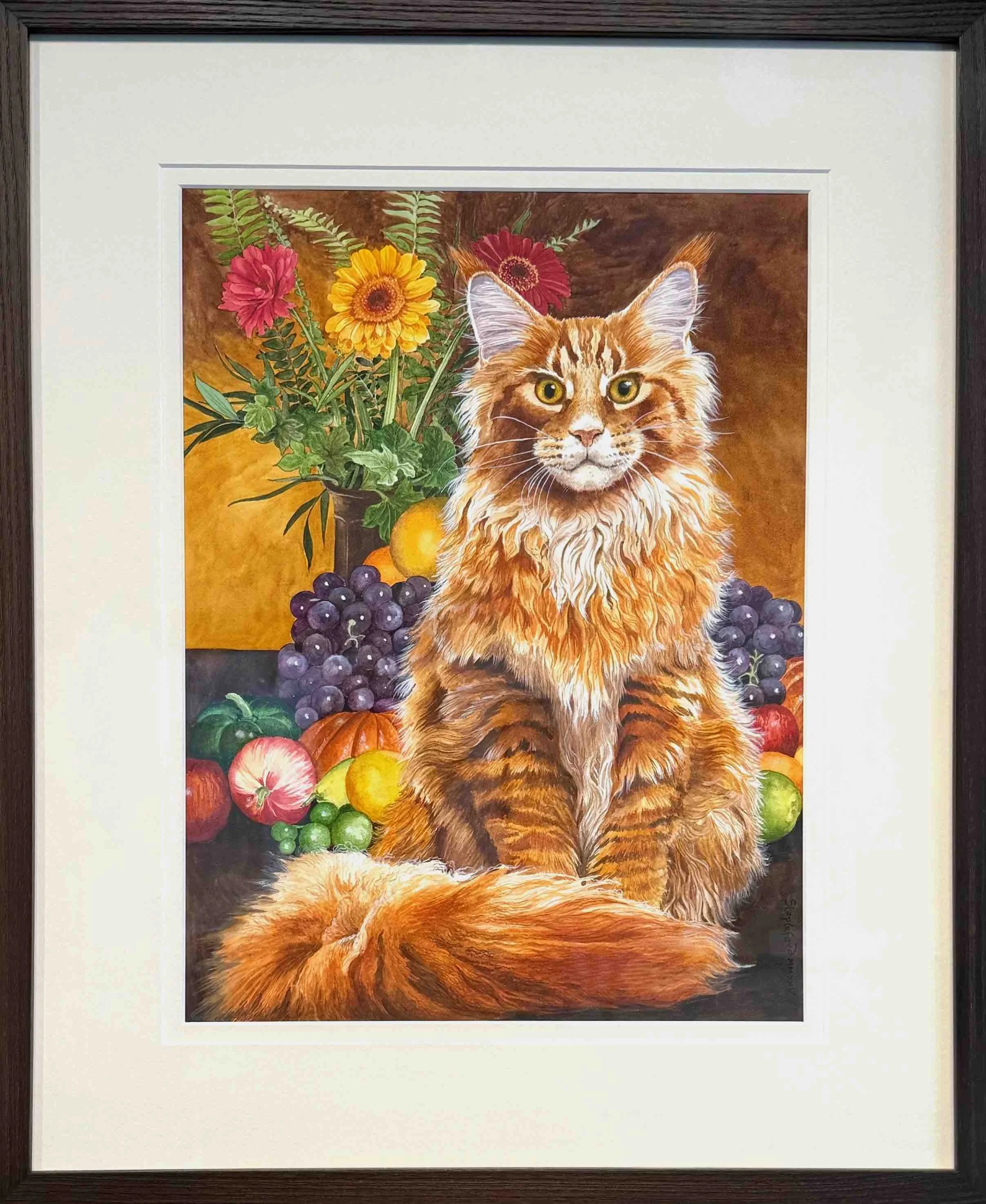 Jane Stapleford | Maine Coon - Still Life