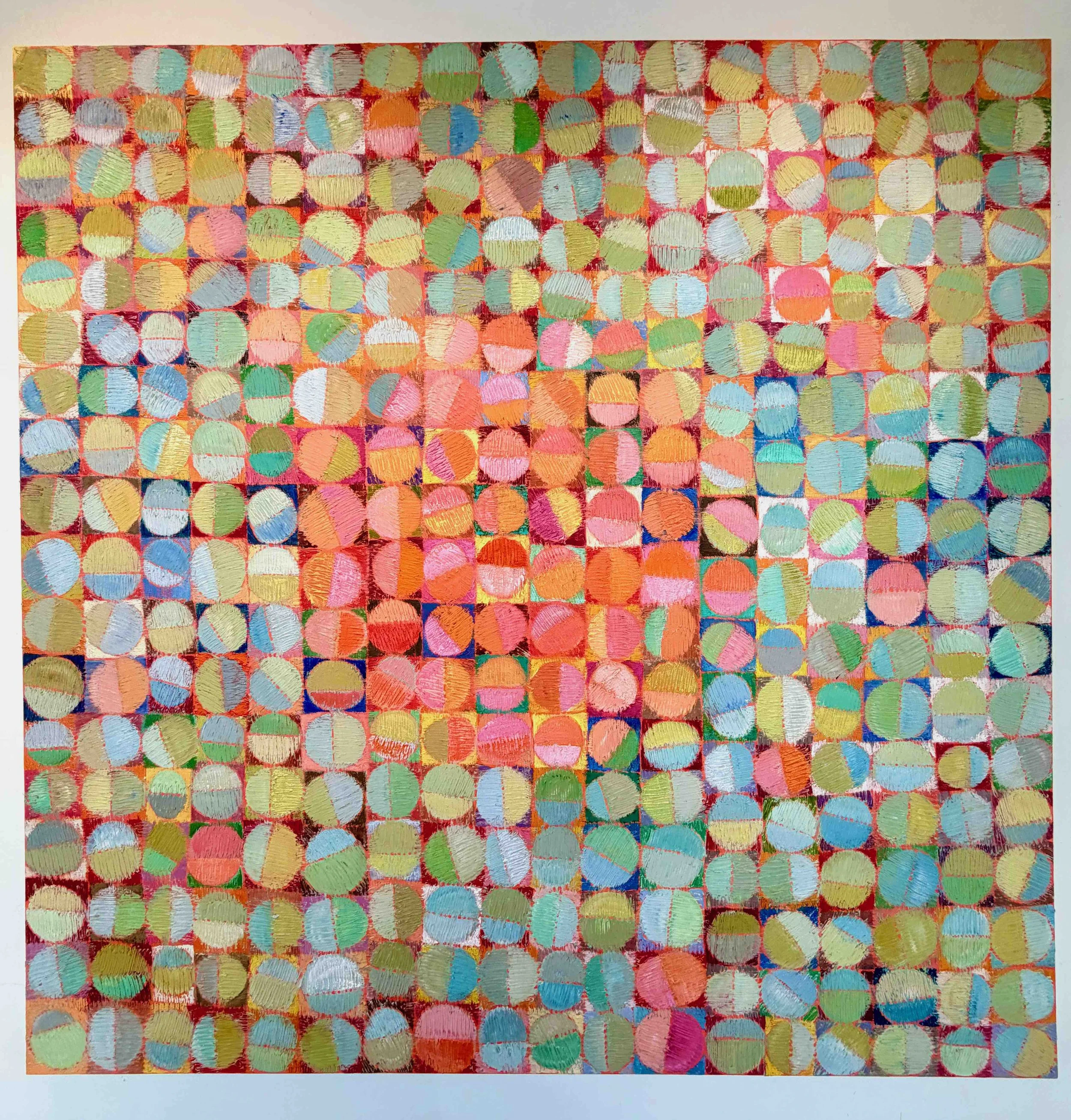 Rachel Hannan | Thirsty Paddocks