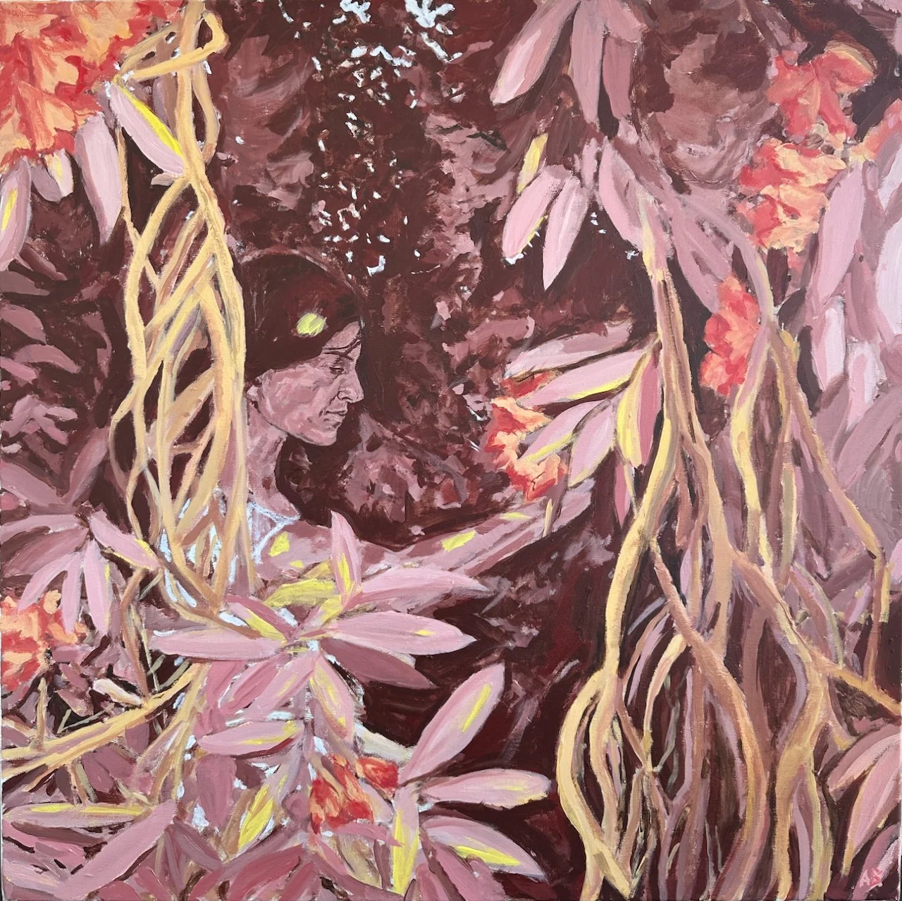 Ashlee Bucholtz | The Window Canopy