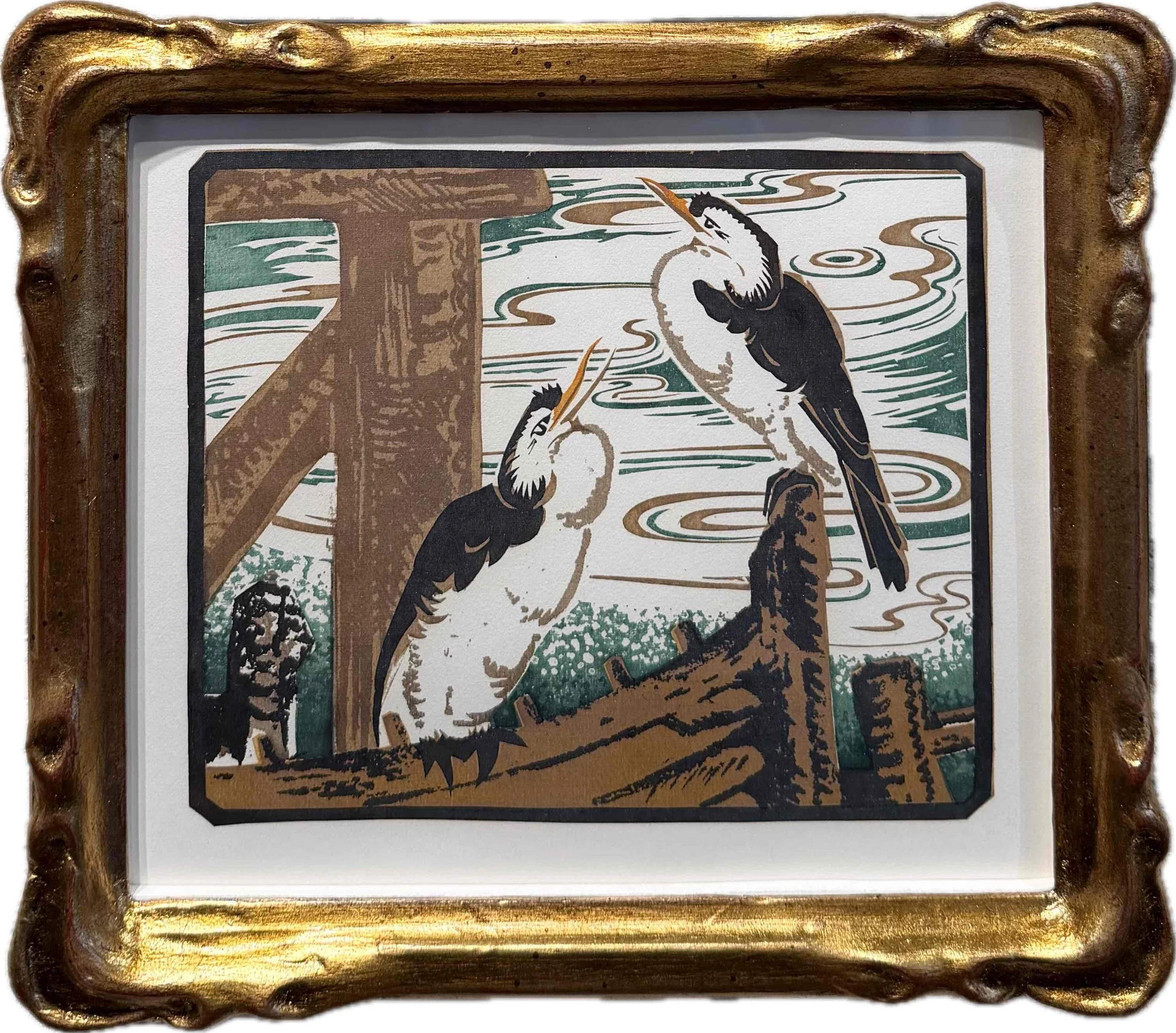 Ethleen Palmer | Shags (Pied Cormorant) 
